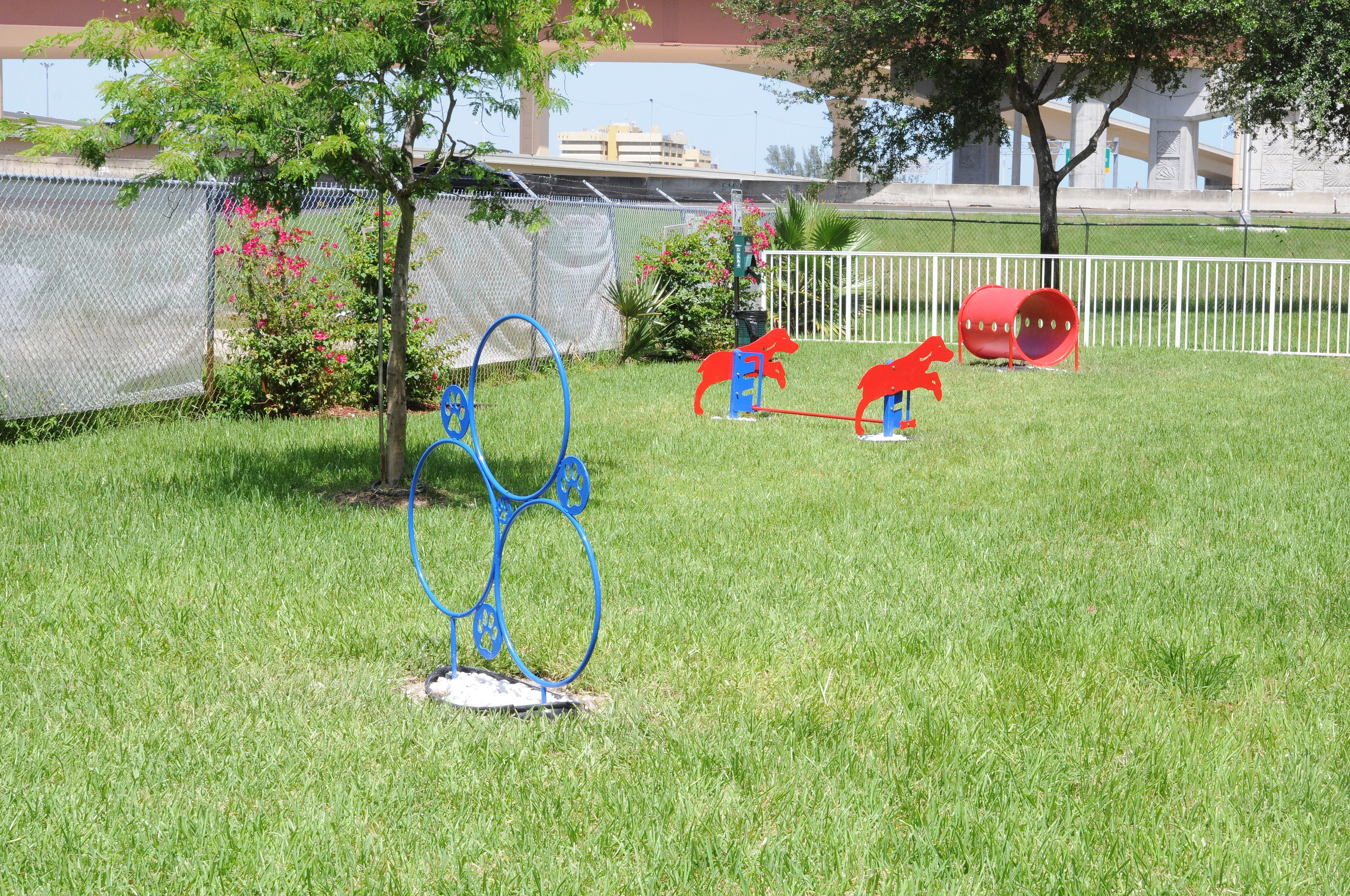 Inviting dog park featuring vibrant blue agility hoops, red jump hurdles, and a playful tunnel on lush green grass, surrounded by colorful foliage and secure fencing.
