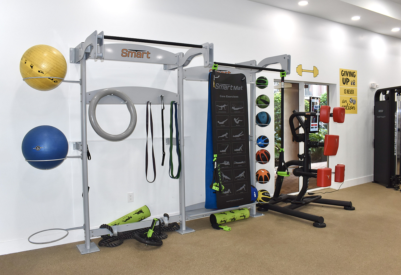Modern gym setup featuring exercise equipment including medicine balls, resistance bands, and a strength training station.
