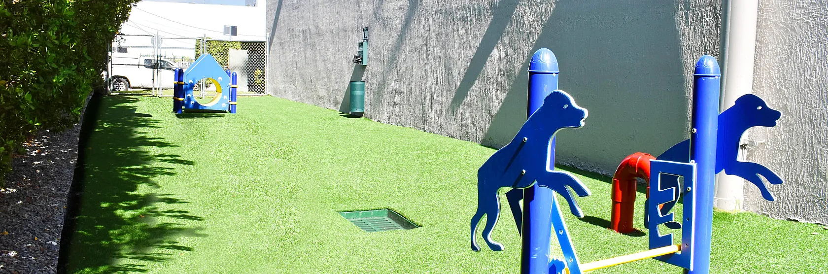 DOG PARK