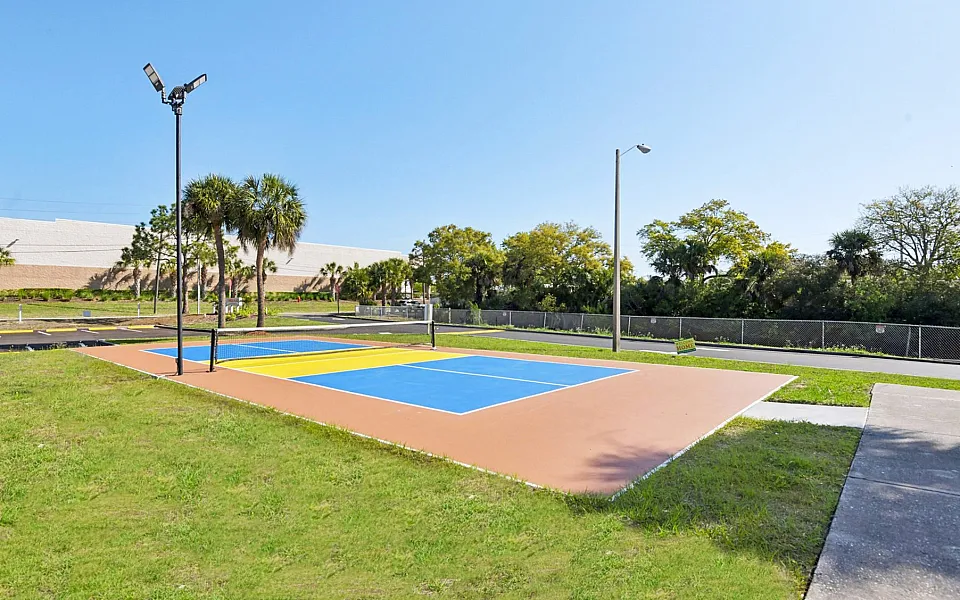 Vibrant outdoor sports court with palm tree-lined surroundings, perfect for recreational activities under clear blue skies.