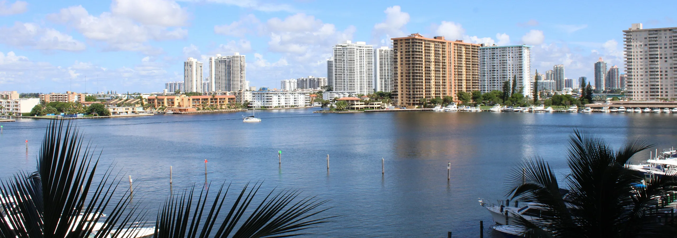 Stunning waterfront view showcasing vibrant skyscrapers under a clear blue sky, framed by lush palm leaves and serene water, ideal for urban living.