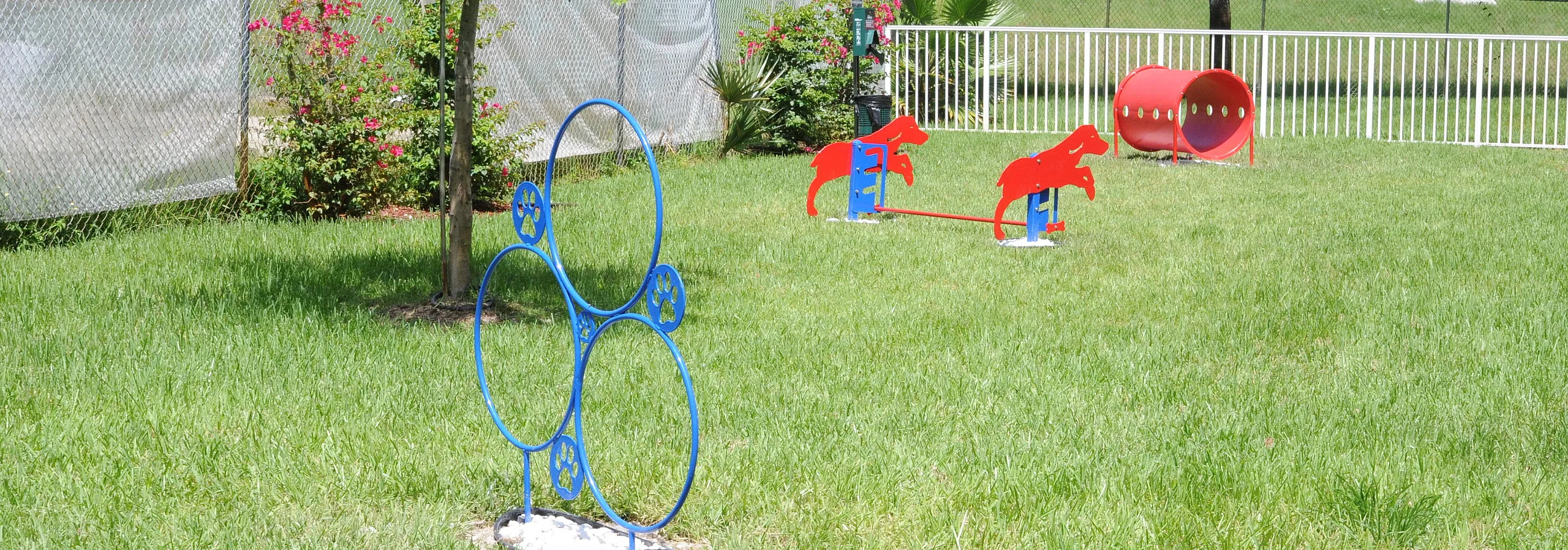 Charming outdoor pet play area featuring vibrant blue agility hoops, vibrant red jumping bars, and a cozy tunnel surrounded by lush greenery.