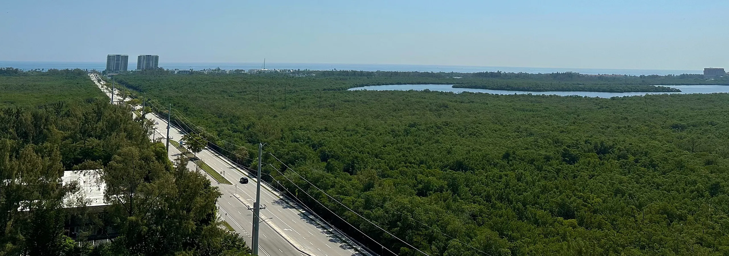 Breathtaking panoramic view of lush greenery, distant buildings, and a serene blue sky from a high-rise apartment.