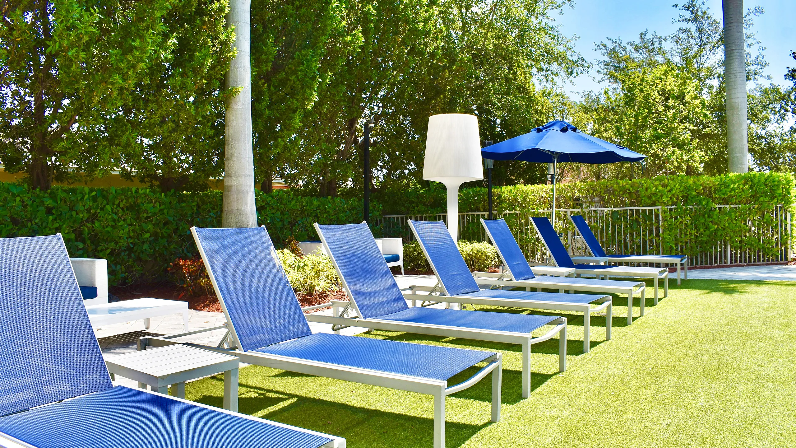 Inviting outdoor space featuring sleek blue lounge chairs and vibrant green surroundings, perfect for relaxation.