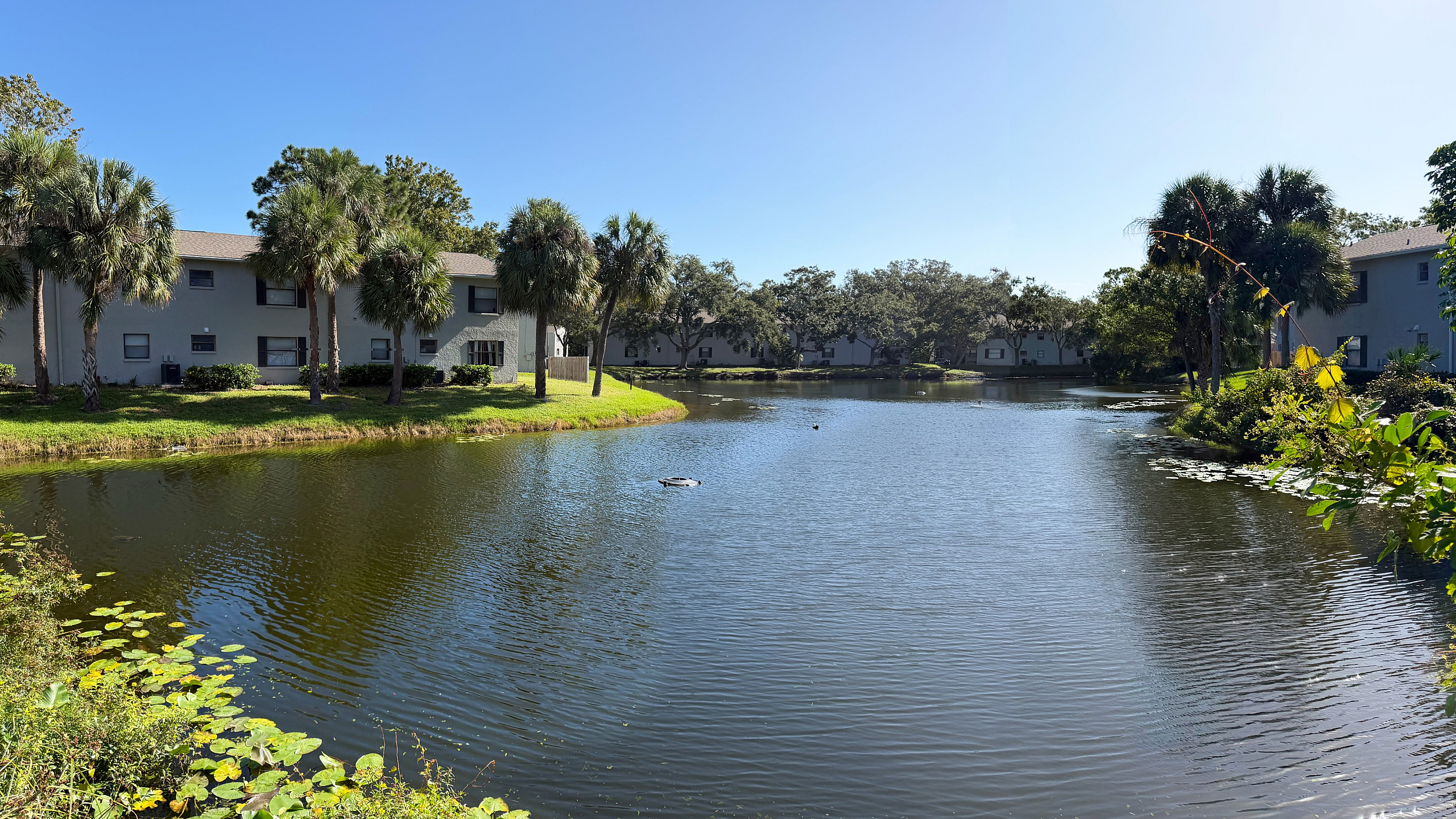 Milton Cove - Lakeside View