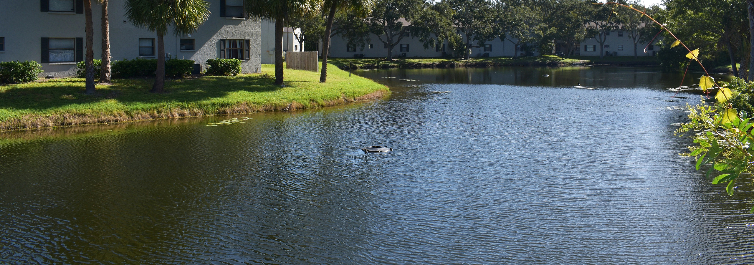 Milton Cove - Lakeside View
