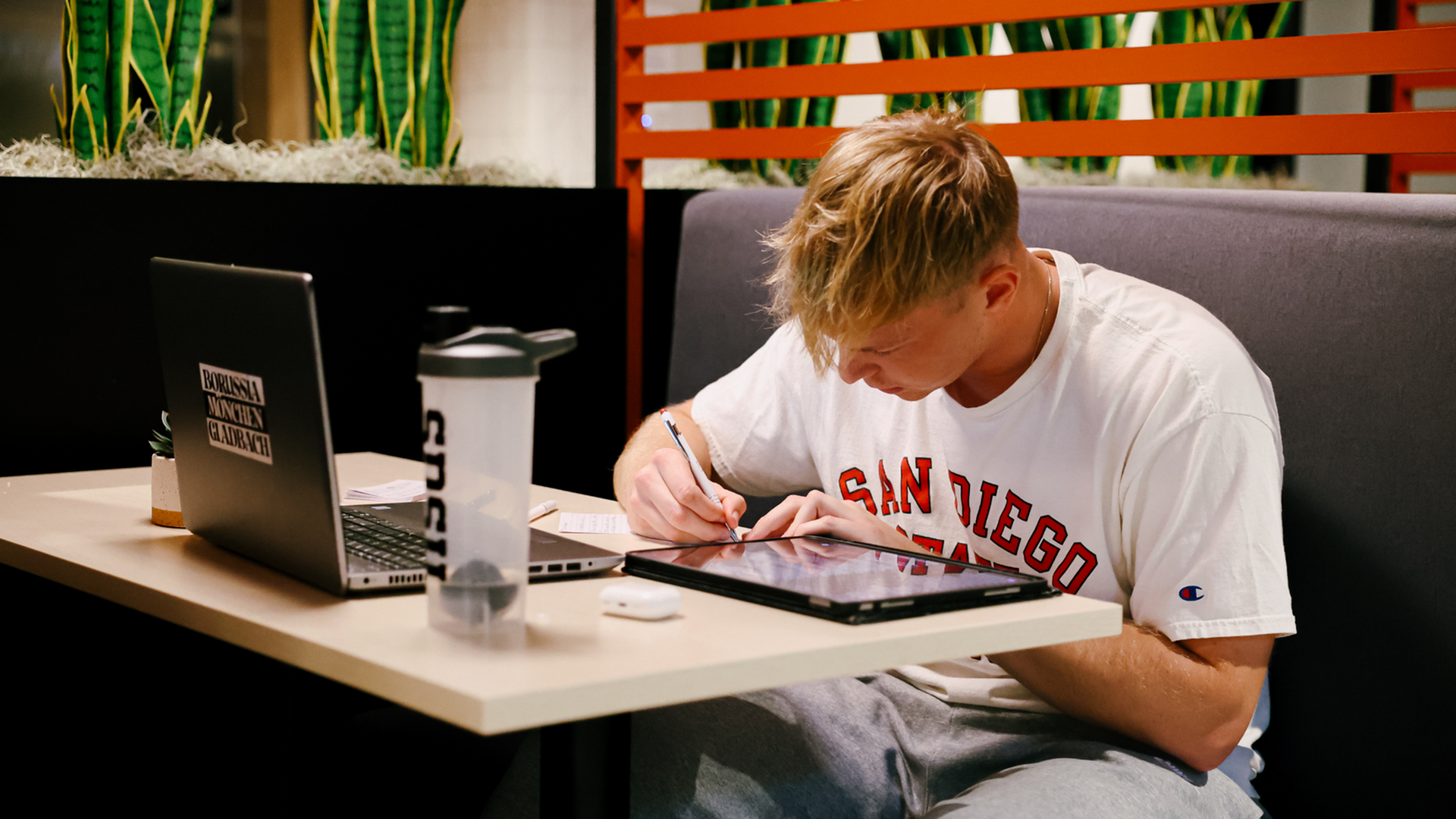 Study Areas