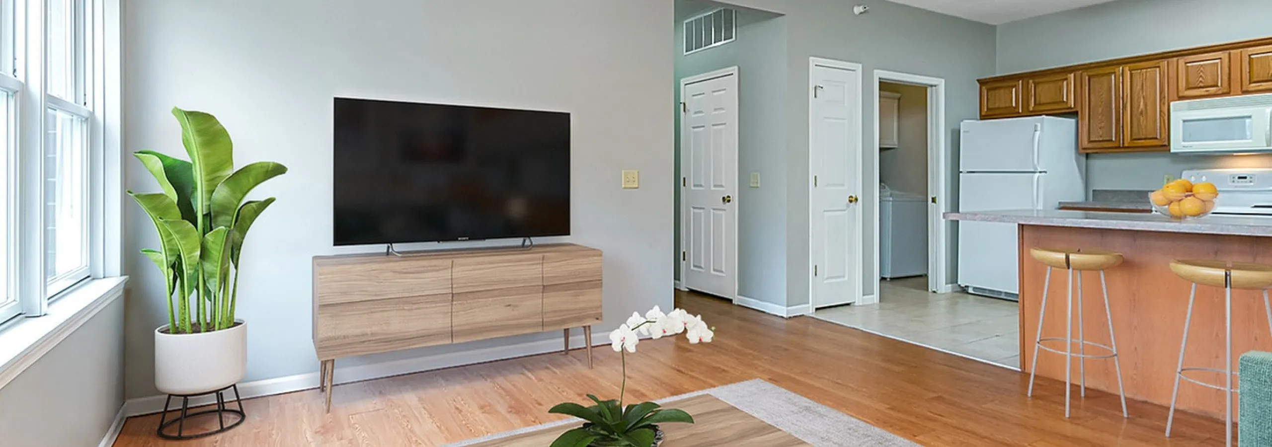 prime place apartment living room with plants, tv, and kitchen visible