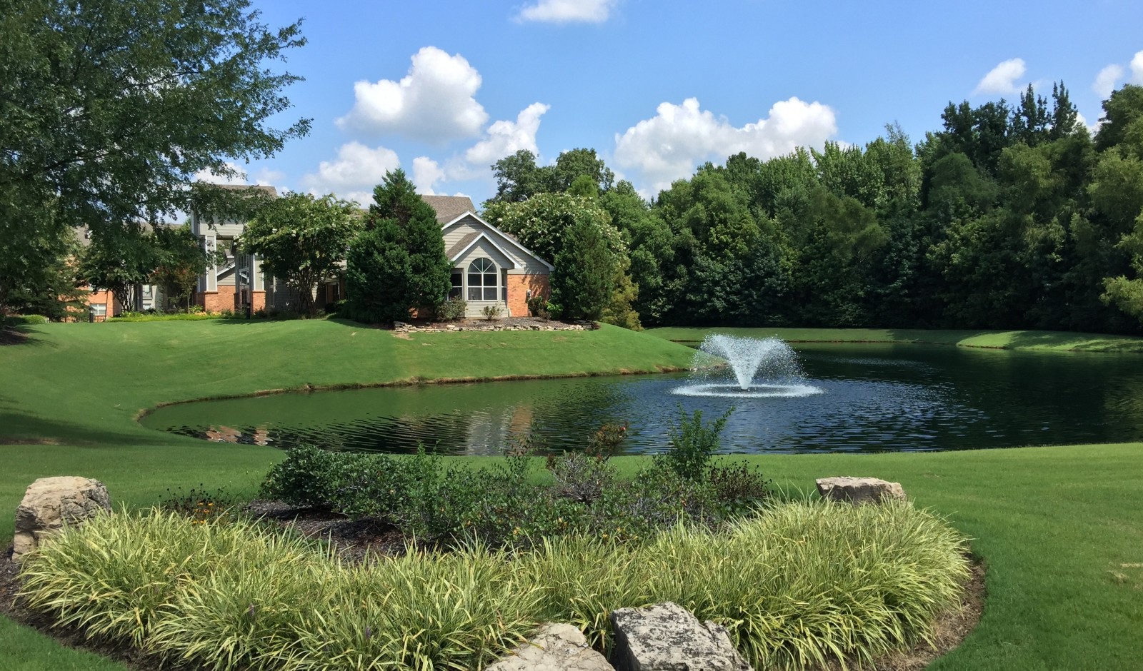 pond