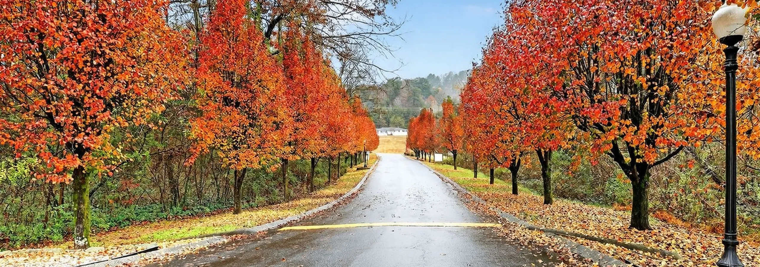 Fall