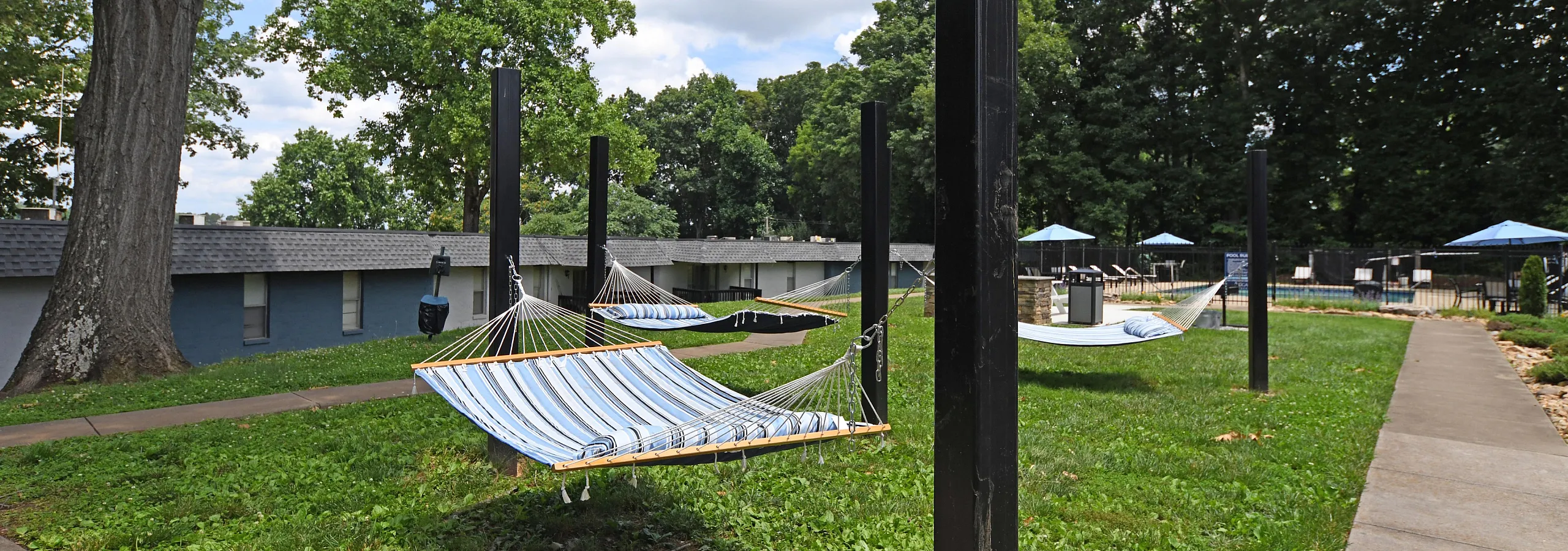 hammocks