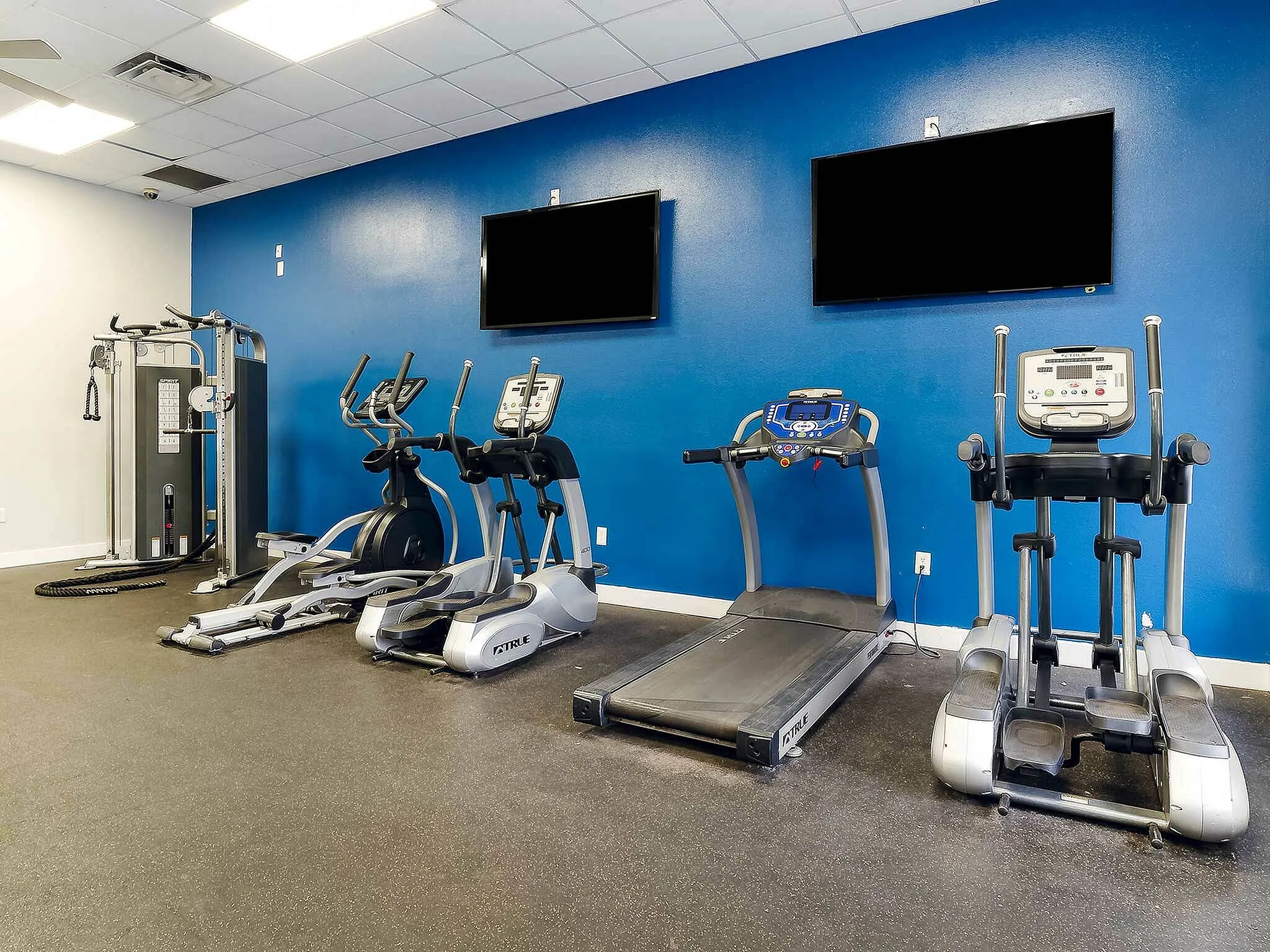 Sleek fitness room with modern exercise equipment including treadmills, ellipticals, and strength machines against a vibrant blue wall.