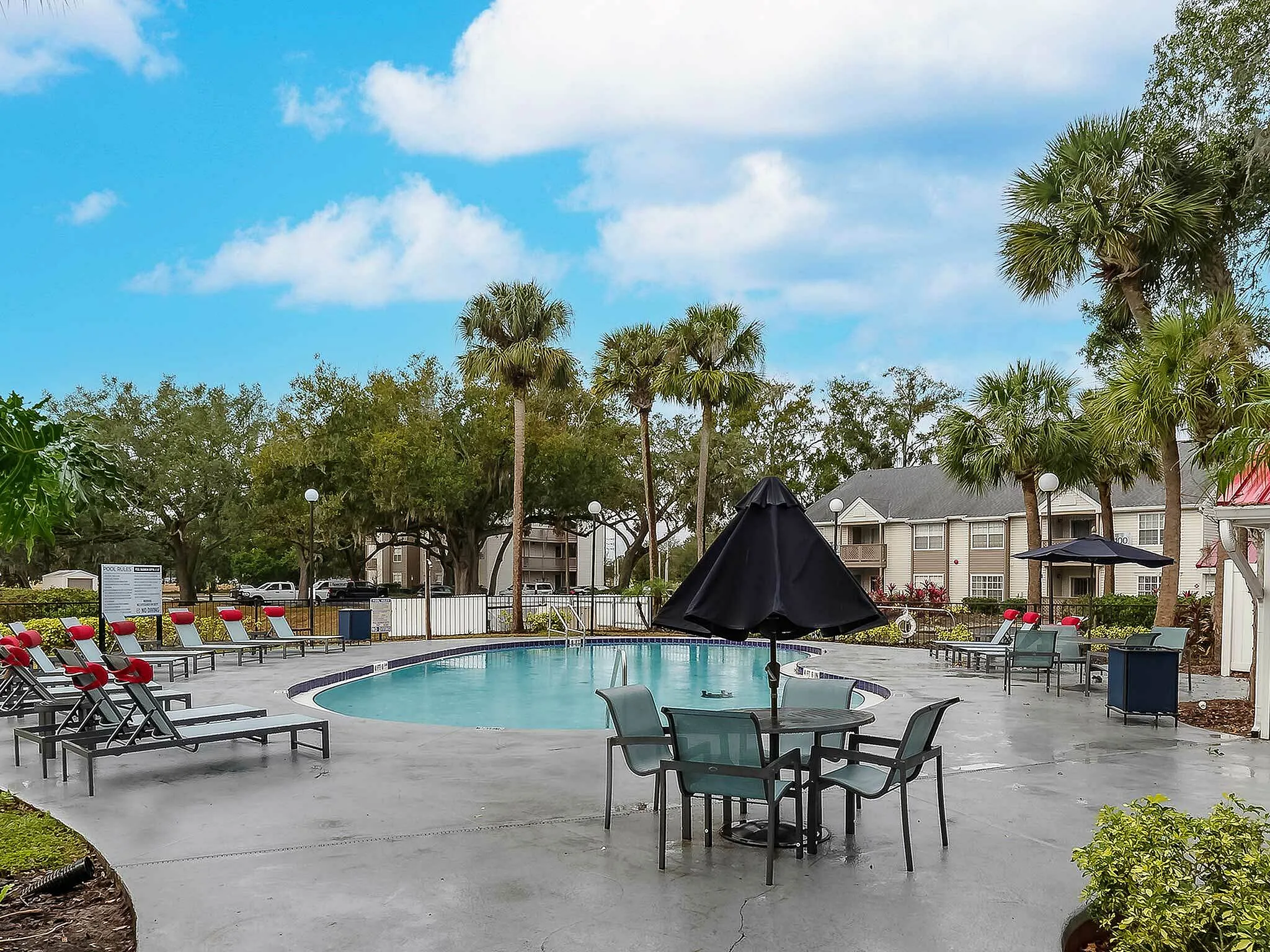 Inviting outdoor pool area with lounge chairs and umbrellas surrounded by lush palm trees.