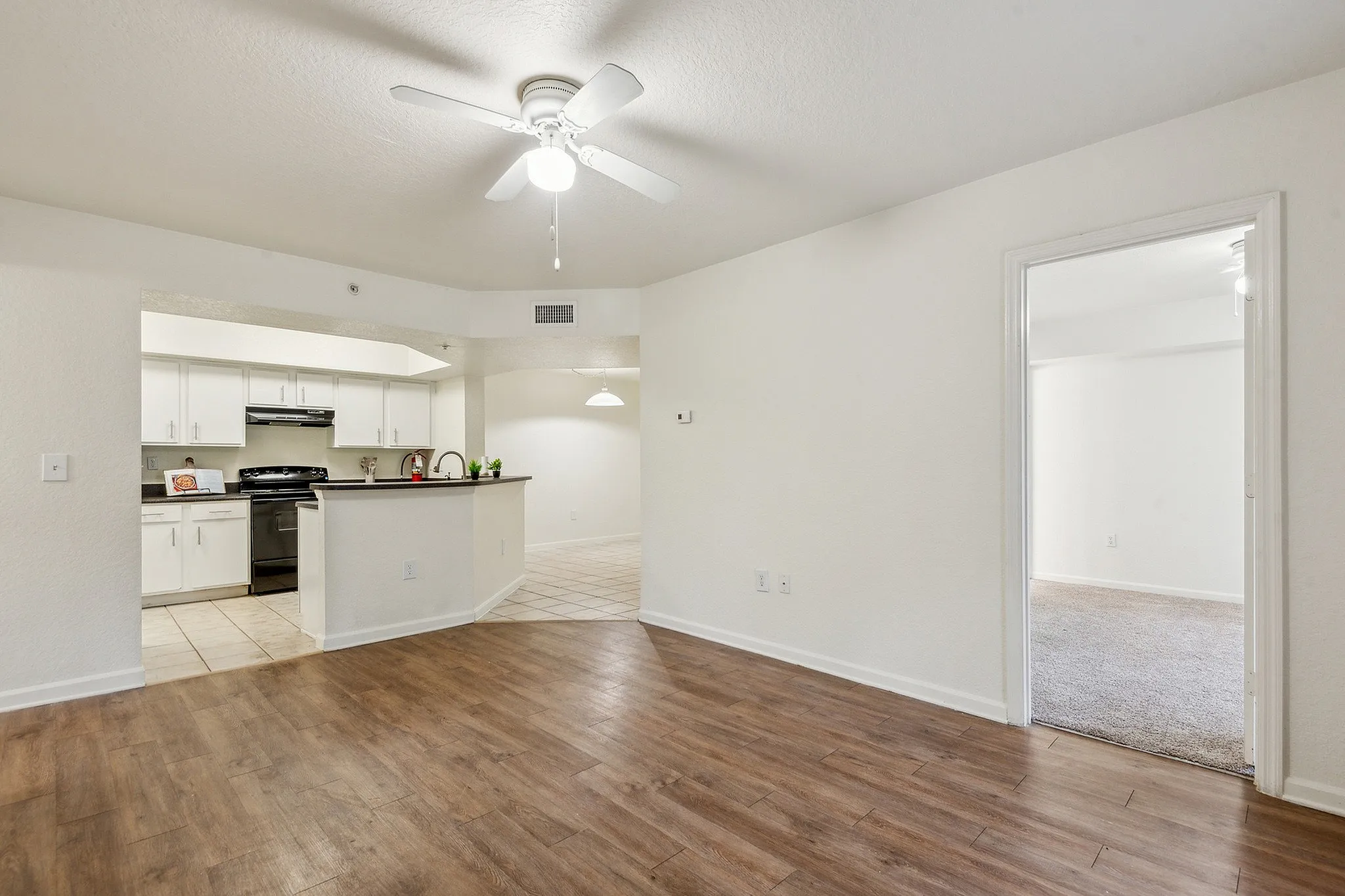 Inviting open-concept apartment with elegant hardwood floors, modern kitchen, and bright spacious rooms.
