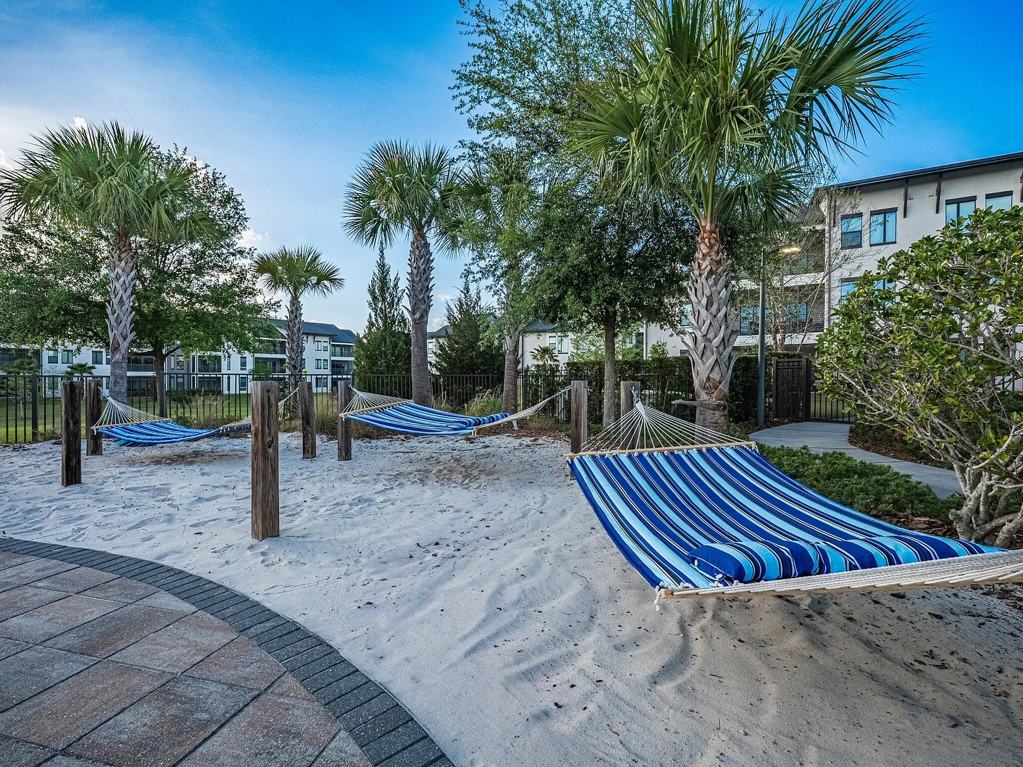 Relaxing outdoor oasis with striped hammocks nestled among palm trees on soft sandy grounds.