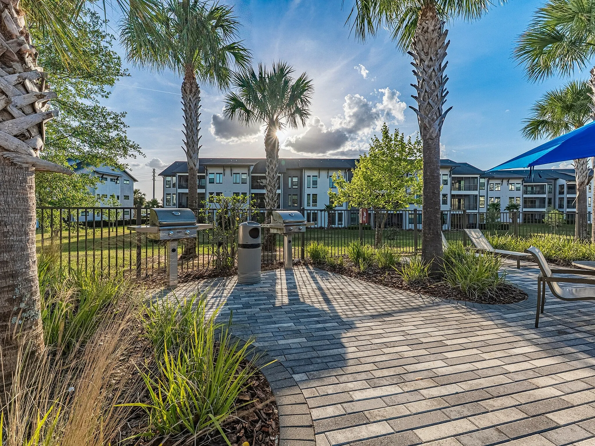 Inviting outdoor community space with modern grills, lush landscaping, and tall palm trees under a bright blue sky.