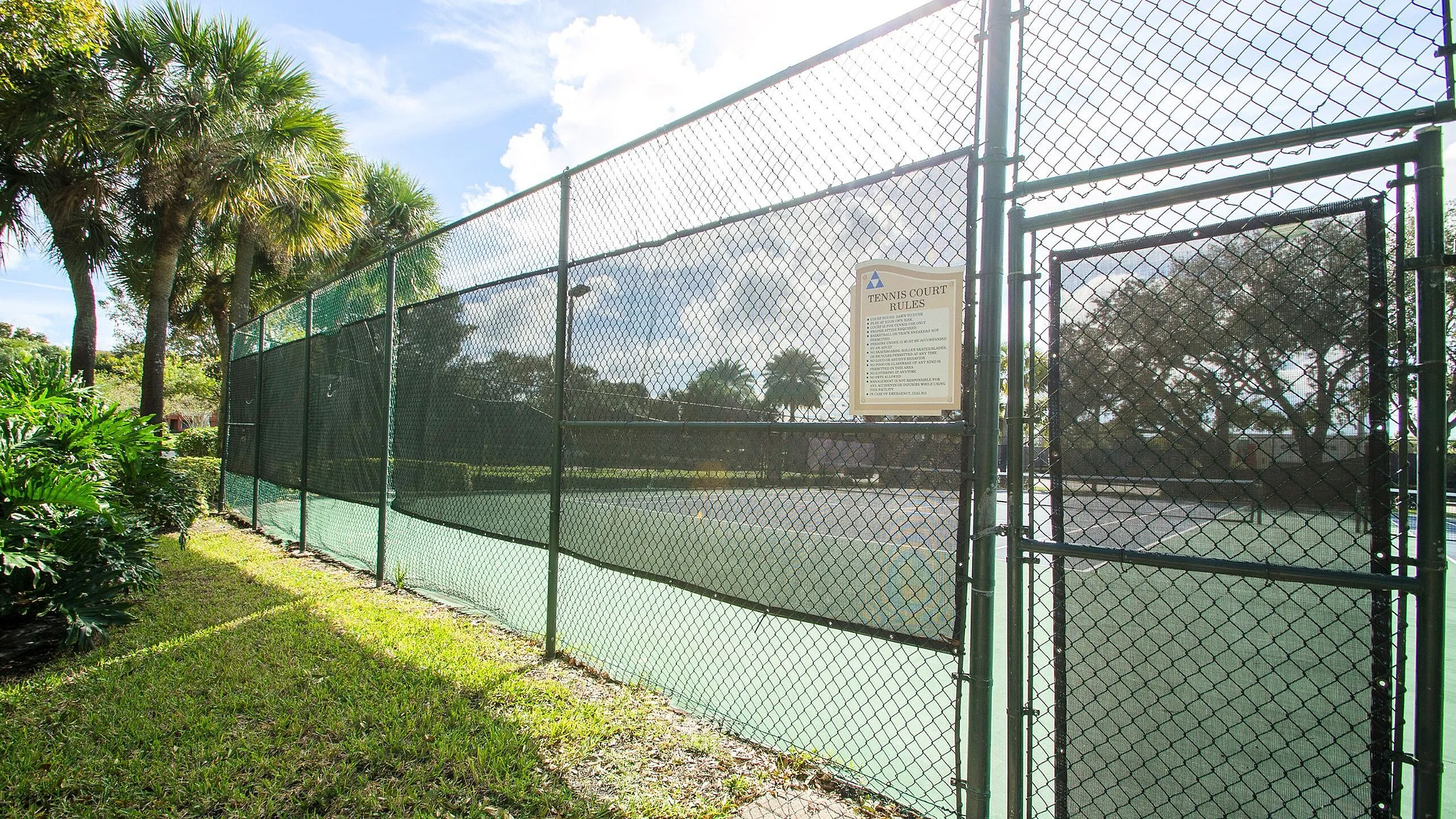 Inviting tennis court surrounded by lush greenery and palm trees under a bright blue sky.