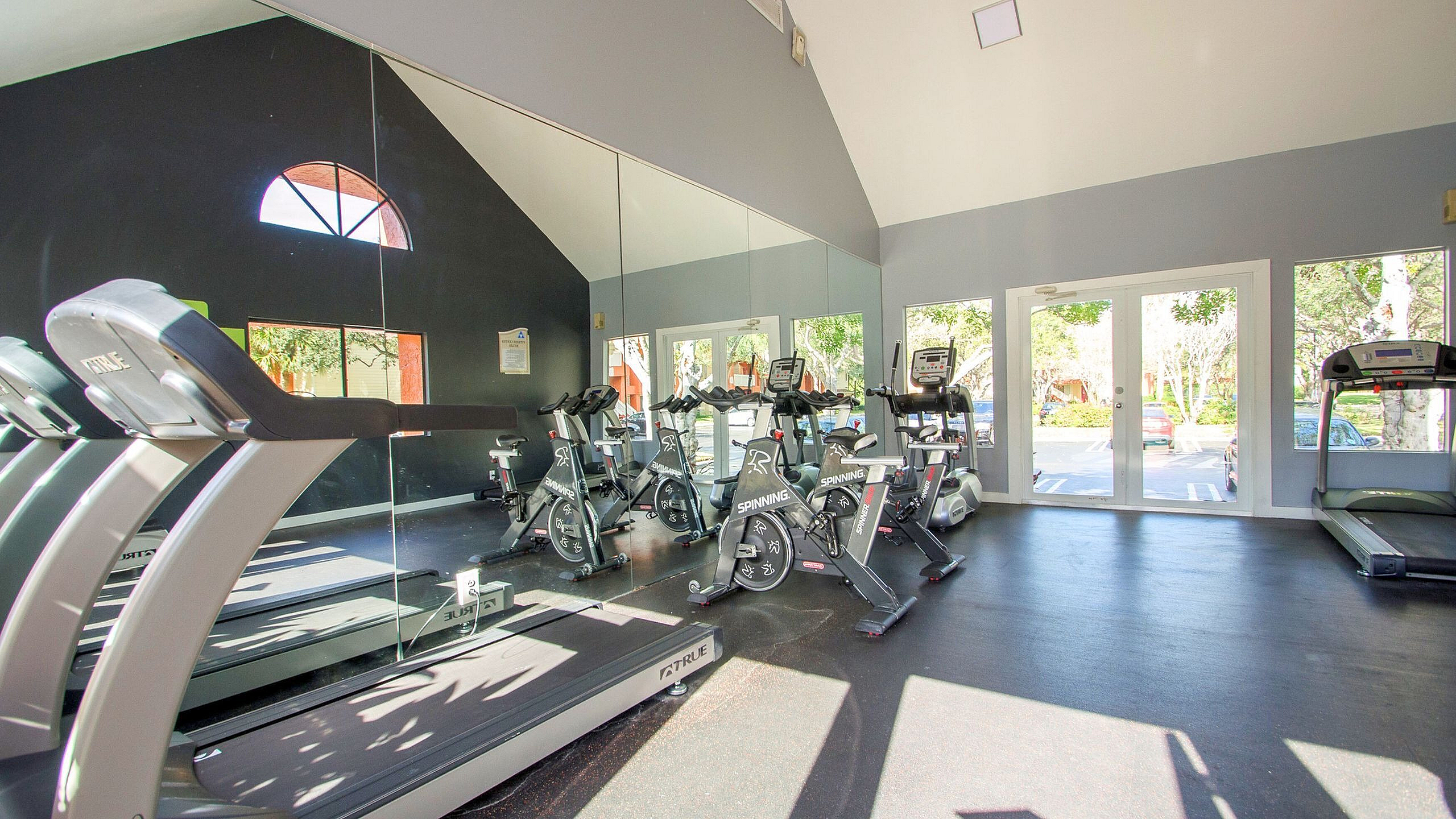 Bright and modern fitness center featuring state-of-the-art treadmills and spin bikes, offering a vibrant workout space with large windows overlooking lush greenery.