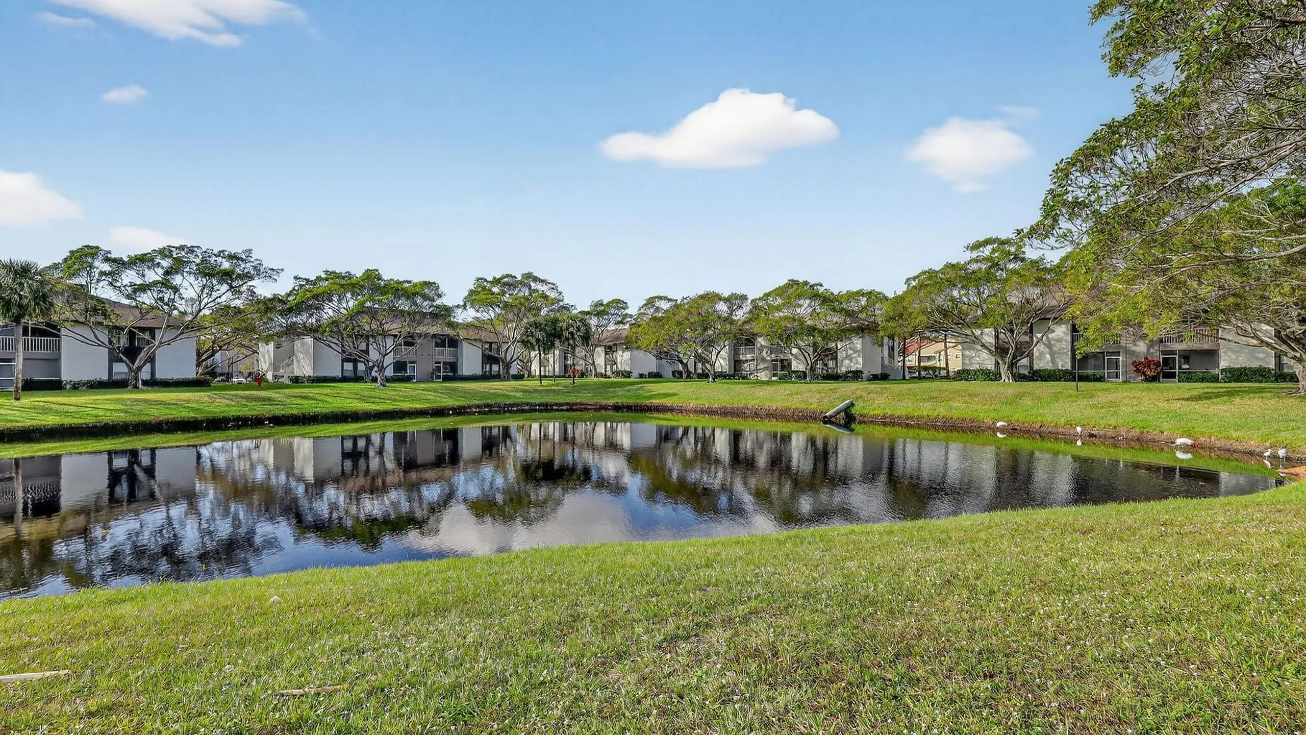 Serene apartment complex surrounded by lush greenery and a picturesque pond, perfect for nature lovers.