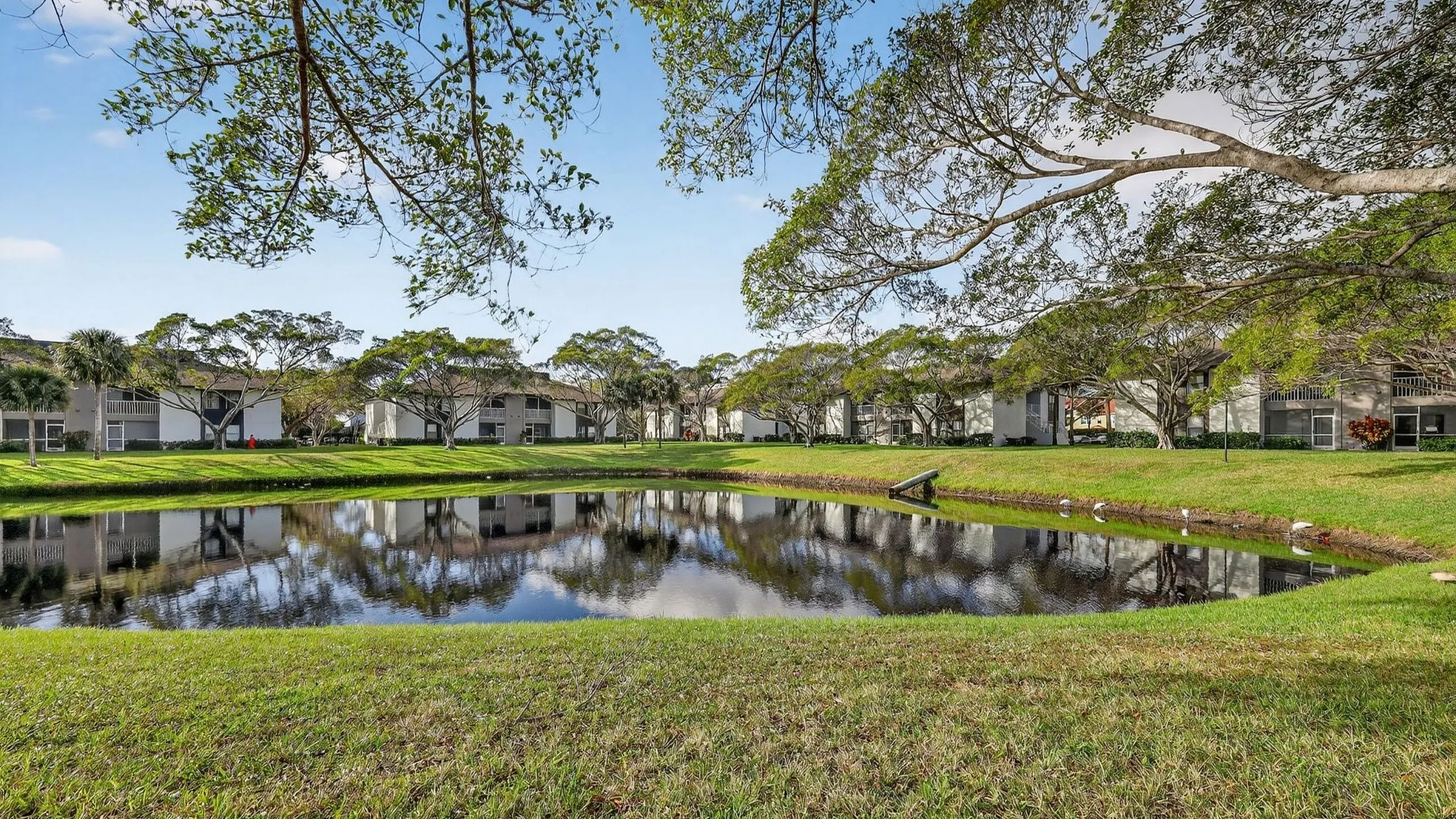 Serene apartment complex with lush greenery and a tranquil pond reflecting elegant residences amidst tall trees under a clear blue sky.