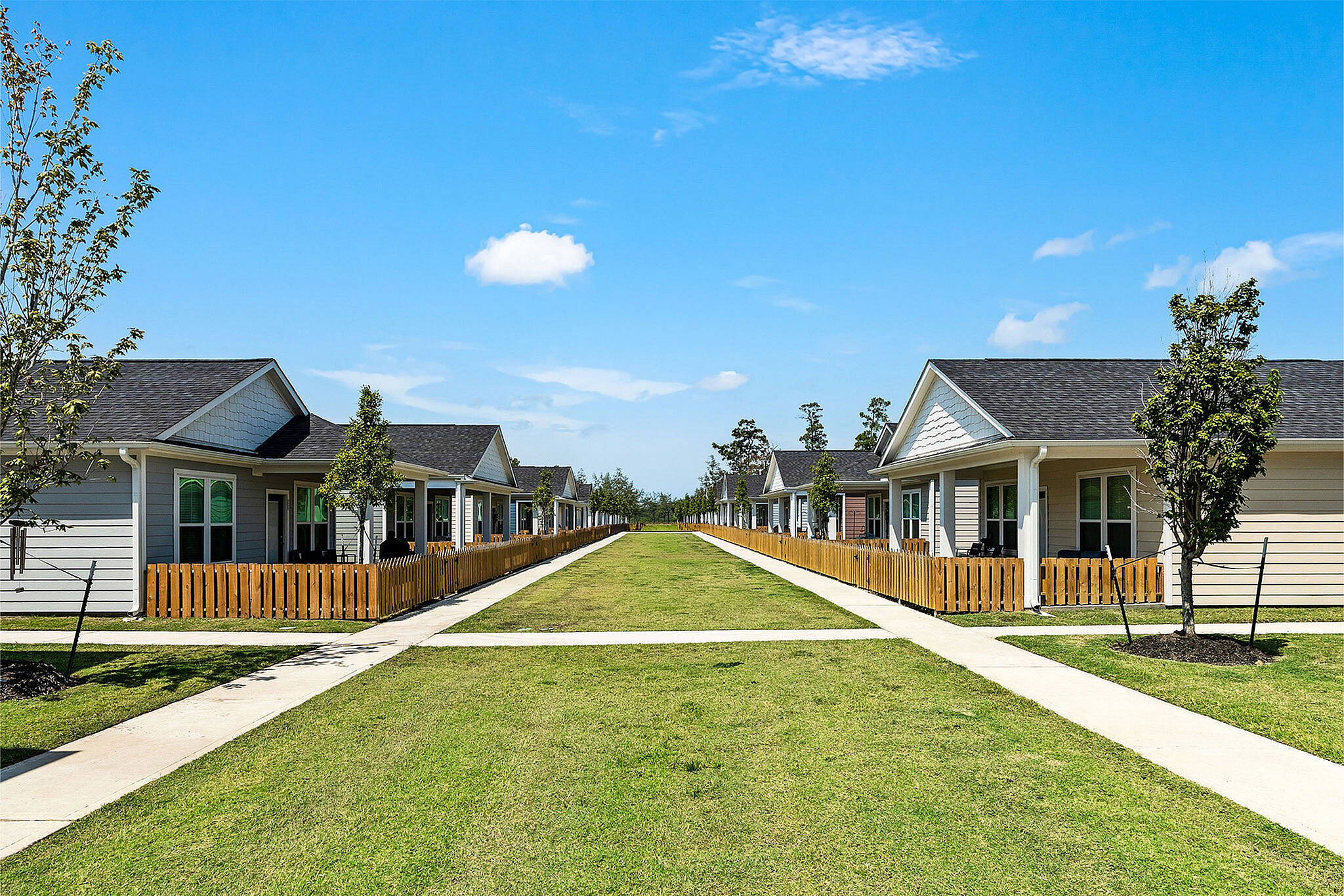 Charming suburban street with modern single-story homes, featuring neat pathways, lush green lawns, and quaint wooden fences under a clear blue sky.