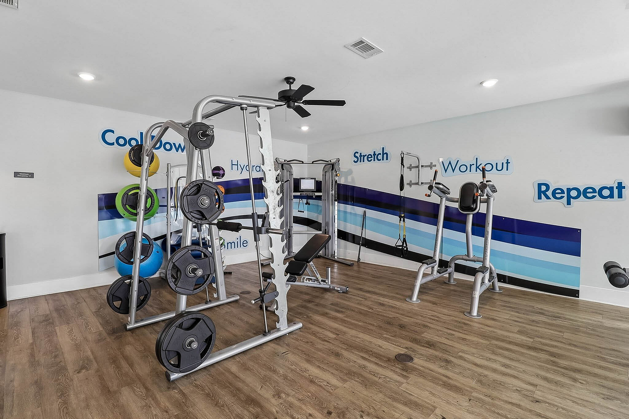 LEO at Augusta Commons - Single Family Rental - Fitness Center
