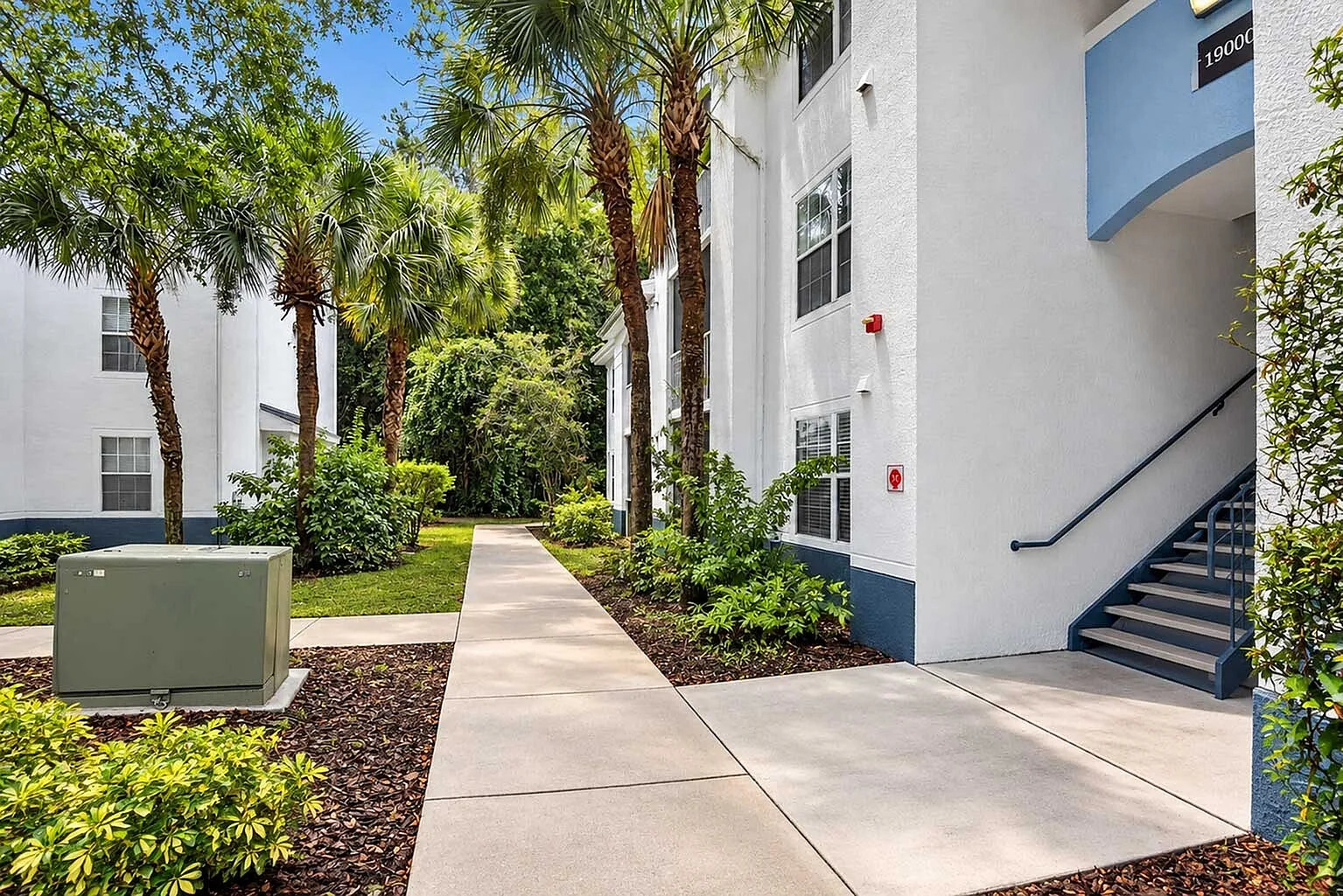 Lymestone Ranch - Palm Trees Pathway