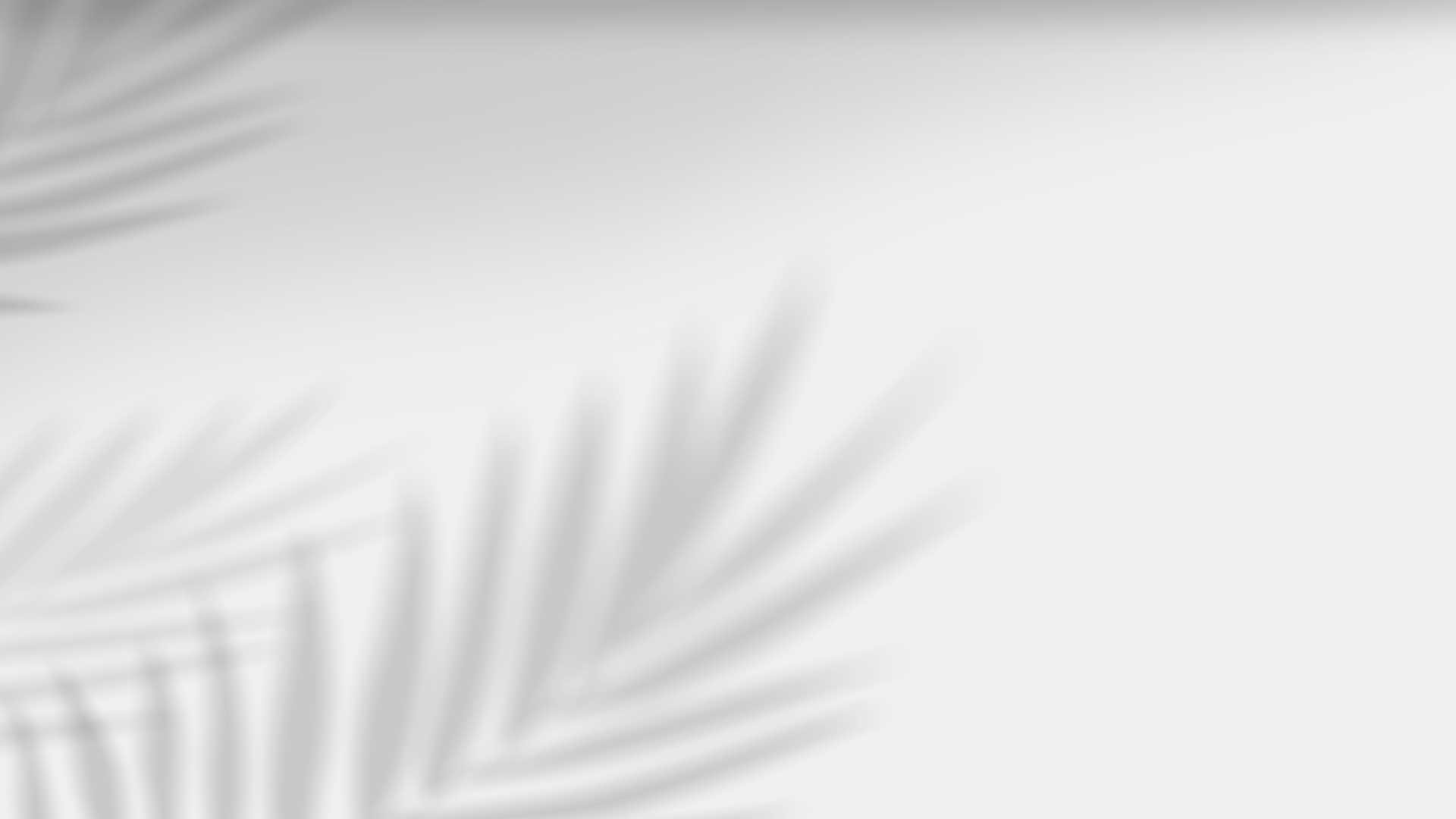 palm shadows background
