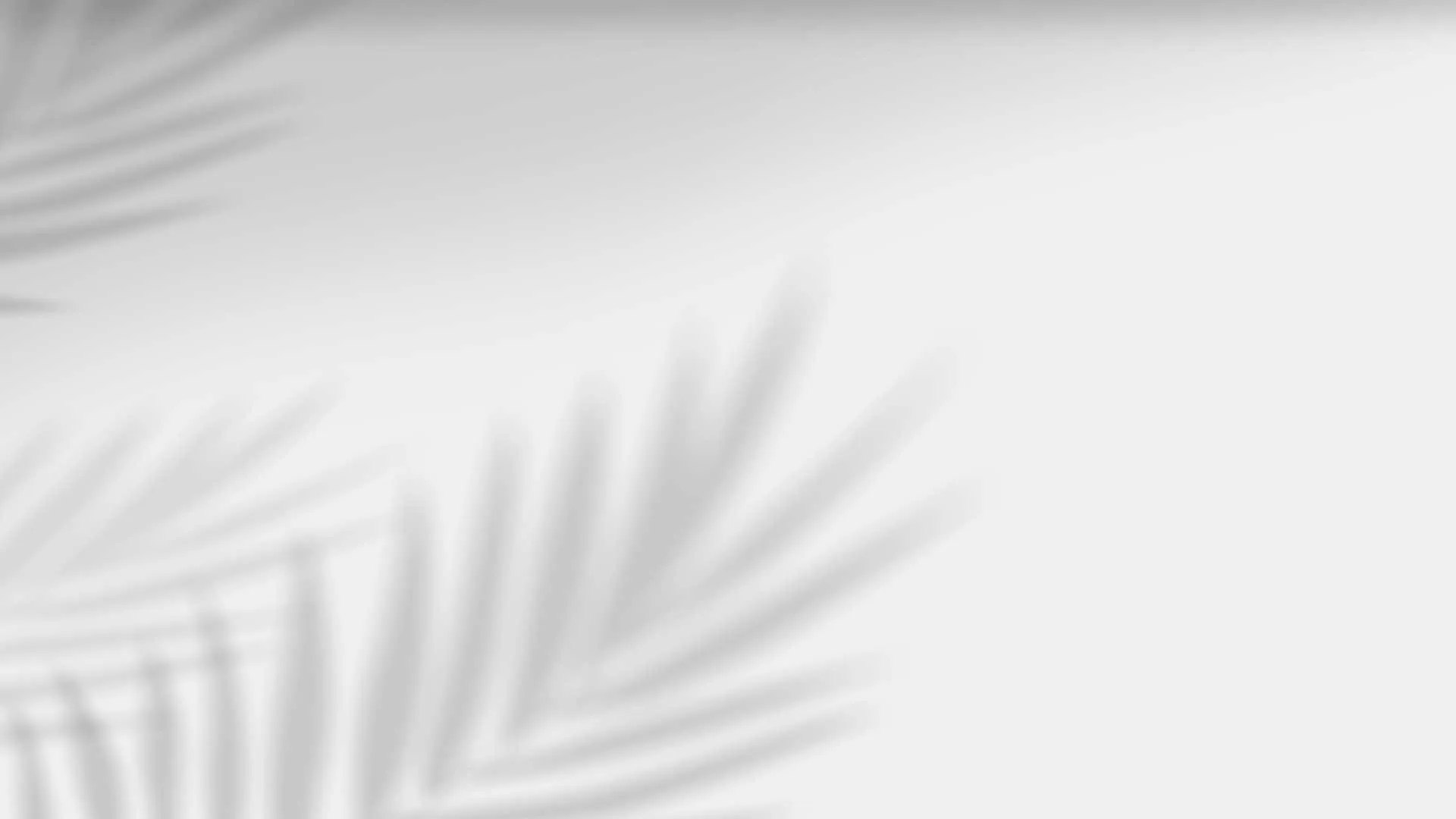 palm shadows background