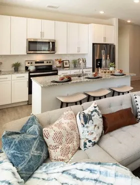luxury apartments in flowery branch, georgia