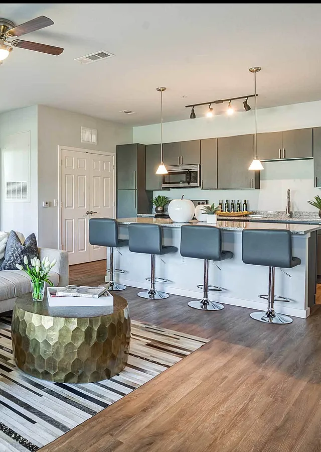 Modern open-concept living room with stylish kitchen and elegant decor.