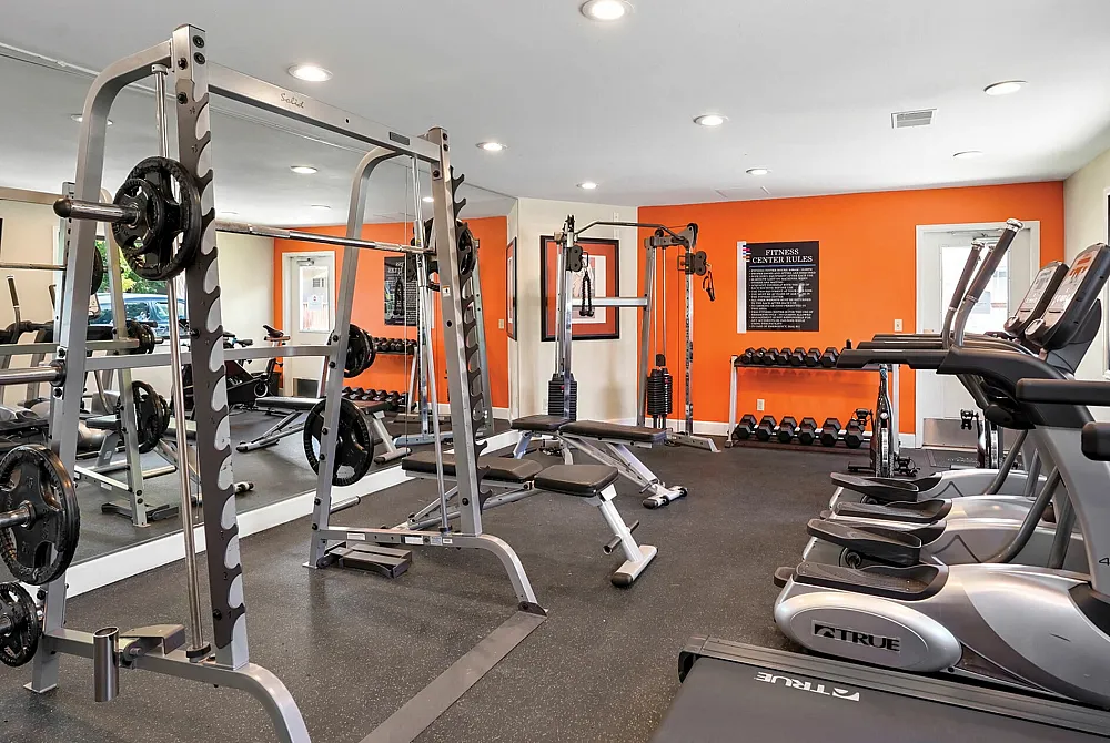 Contemporary gym with essential workout equipment including weight machines, free weights, and treadmills in a bright, spacious environment.