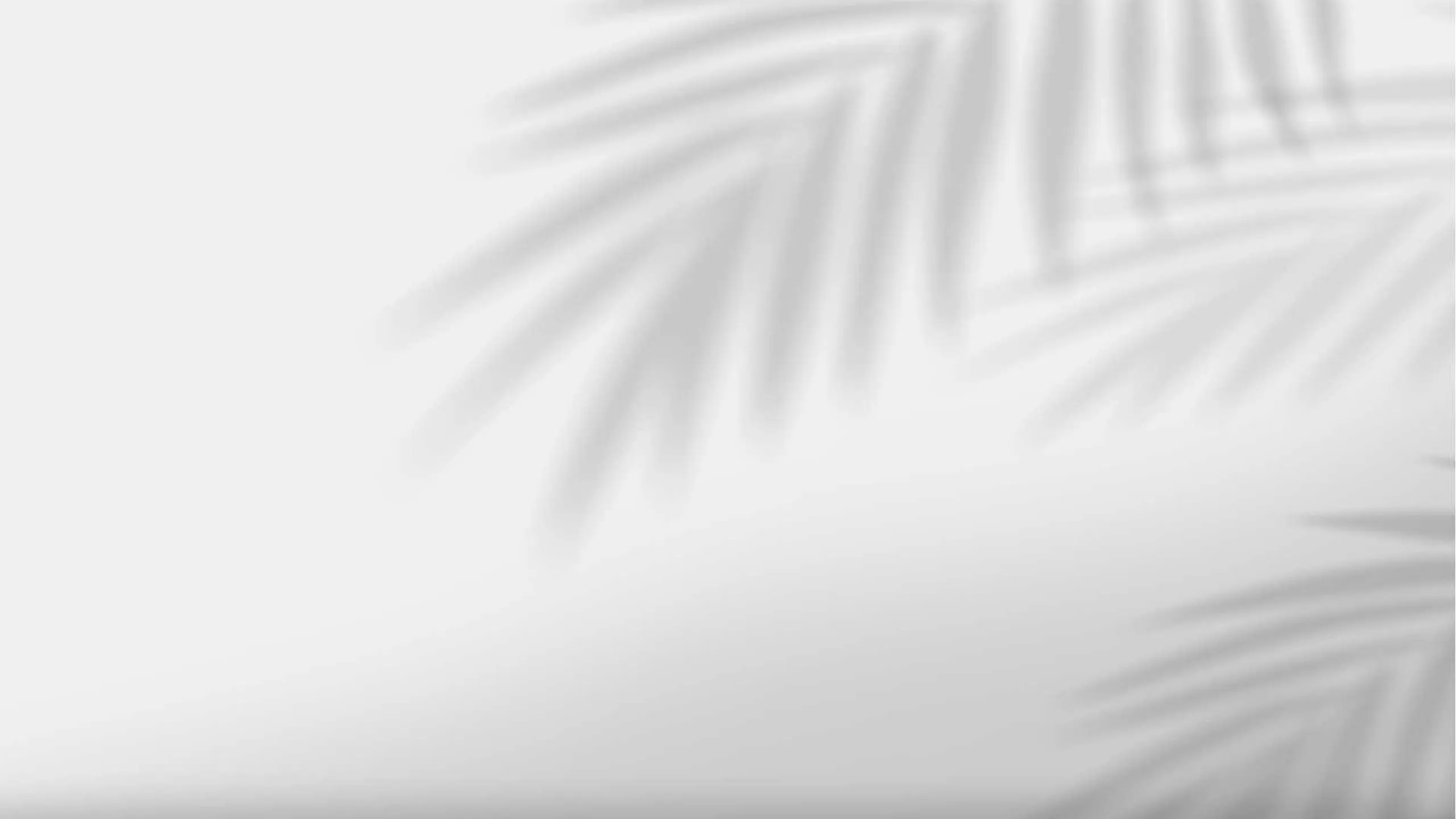 Serene design backdrop with soft palm leaf shadows on a white surface.