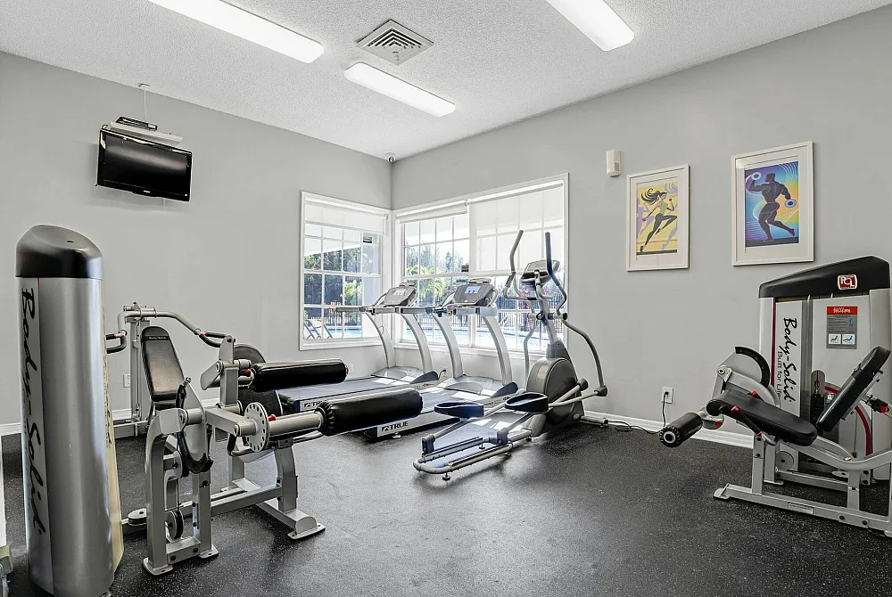 Bright, modern gym with cutting-edge fitness equipment, including treadmills, exercise machines, and vibrant artwork.