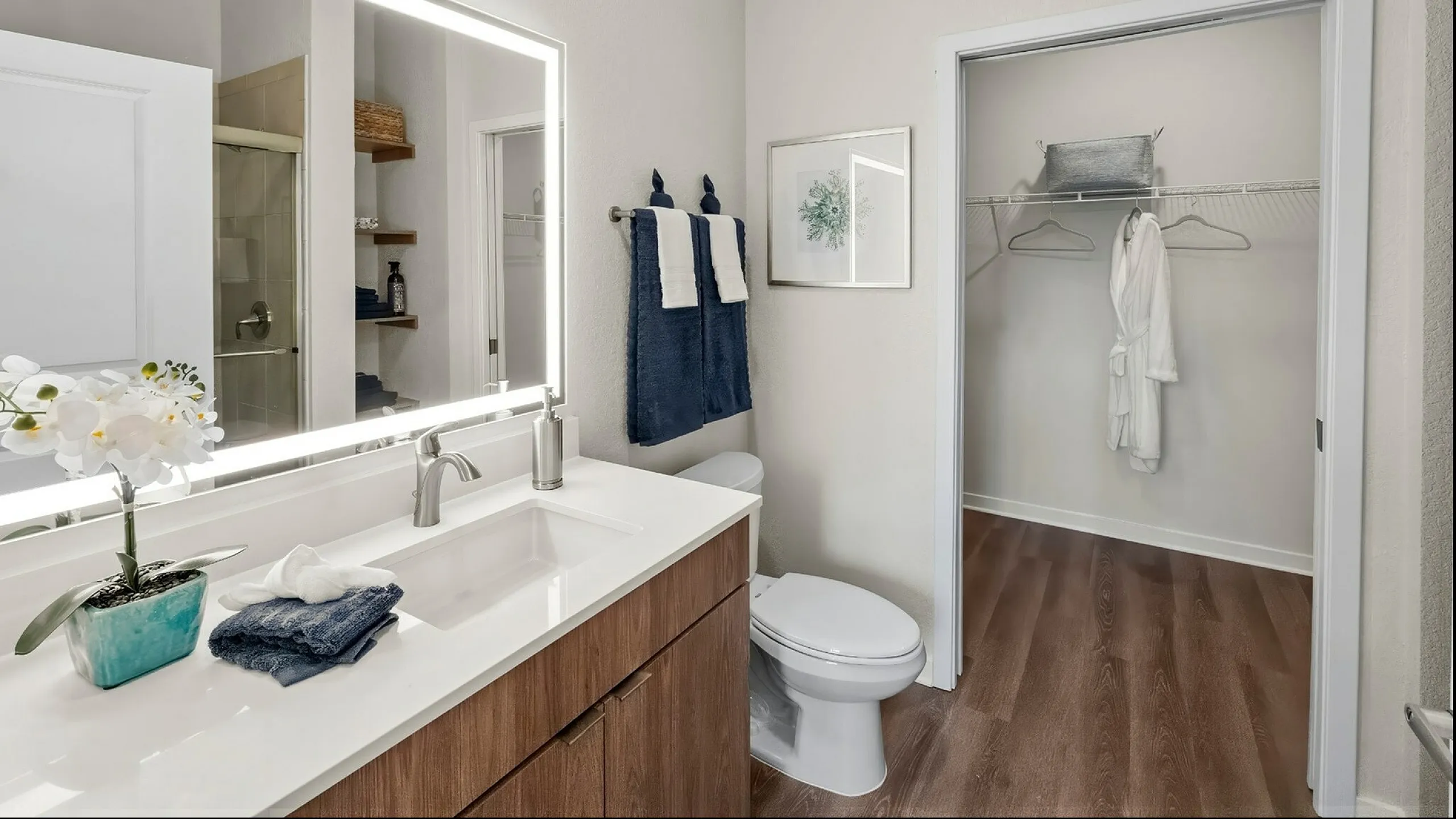 Modern bathroom with sleek vanity mirror, elegant wood cabinetry, and open walk-in closet, offering a luxurious living experience.