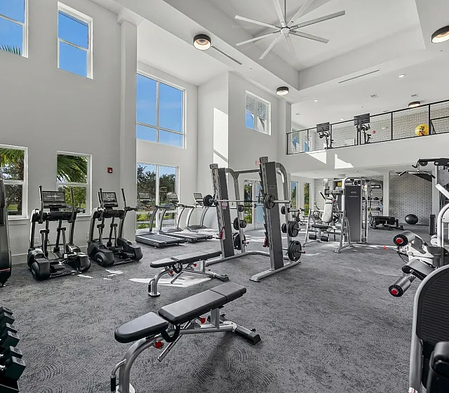 Spacious and modern gym with high ceilings, featuring state-of-the-art equipment and large windows for natural light.