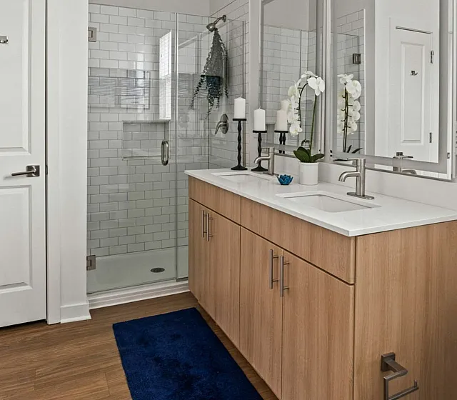 Modern bathroom boasting a sleek glass shower, elegant double-sink vanity with a polished wooden finish, and stylish decor pieces for a serene atmosphere.