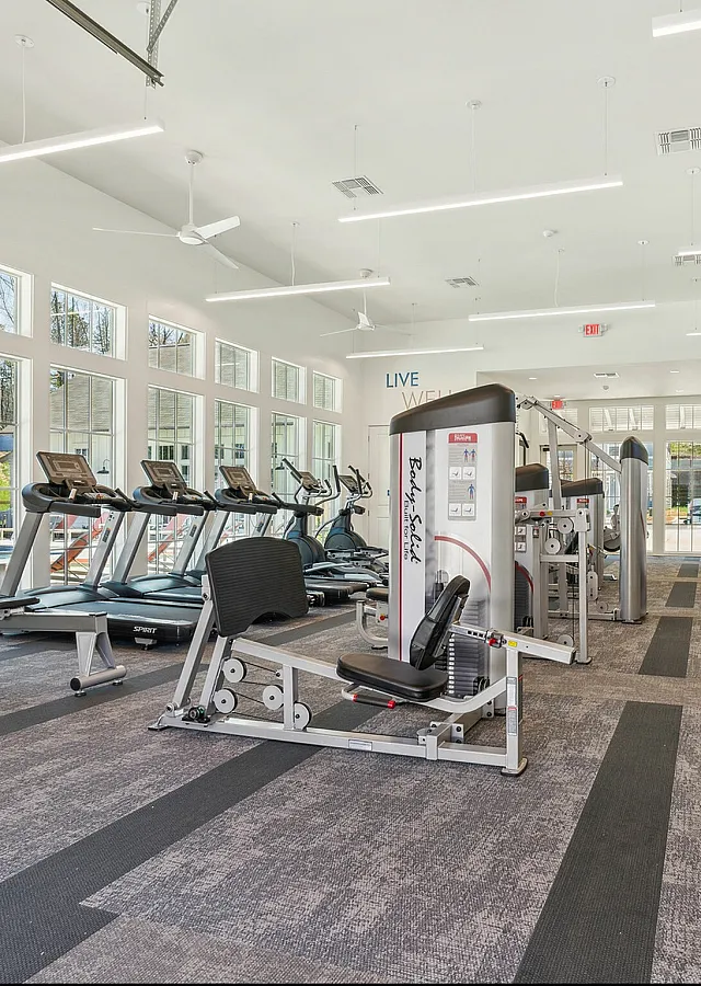Bright and modern gym featuring state-of-the-art exercise equipment and large windows inviting natural light.