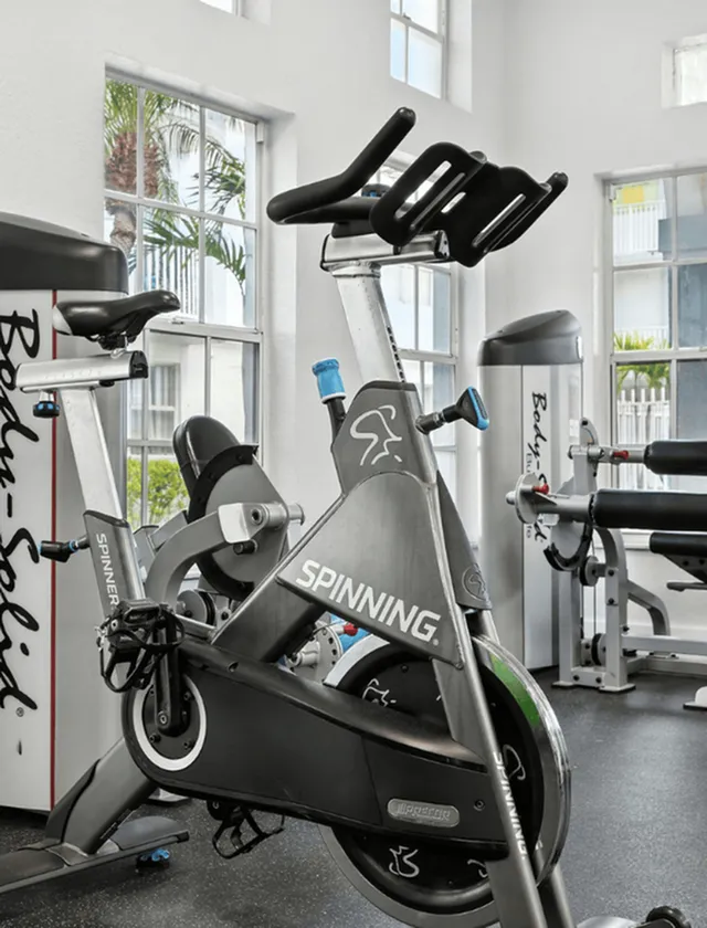 Modern gym with sleek spin bike and Body Solid strength equipment, filled with natural light from large windows.