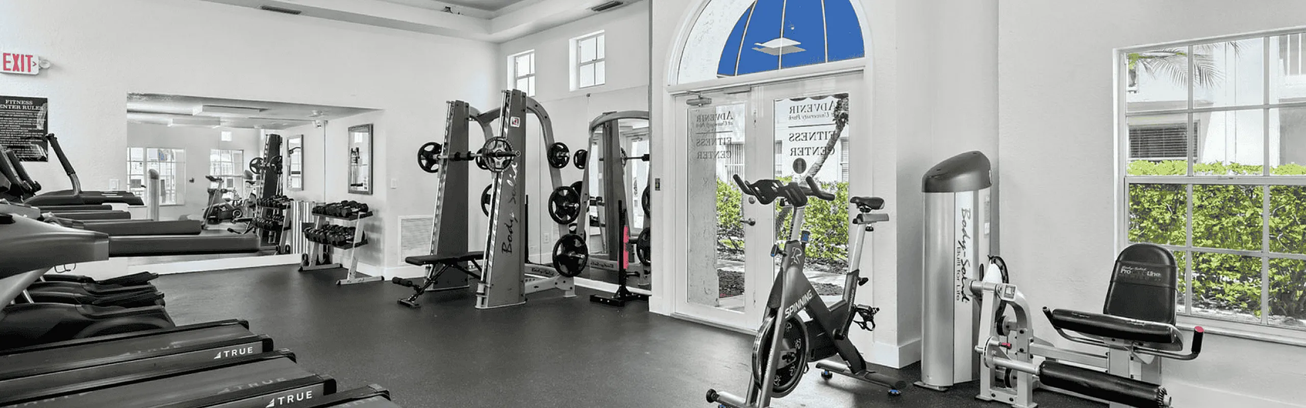 Bright and modern gym featuring state-of-the-art treadmills, strength training equipment, and picturesque window views.