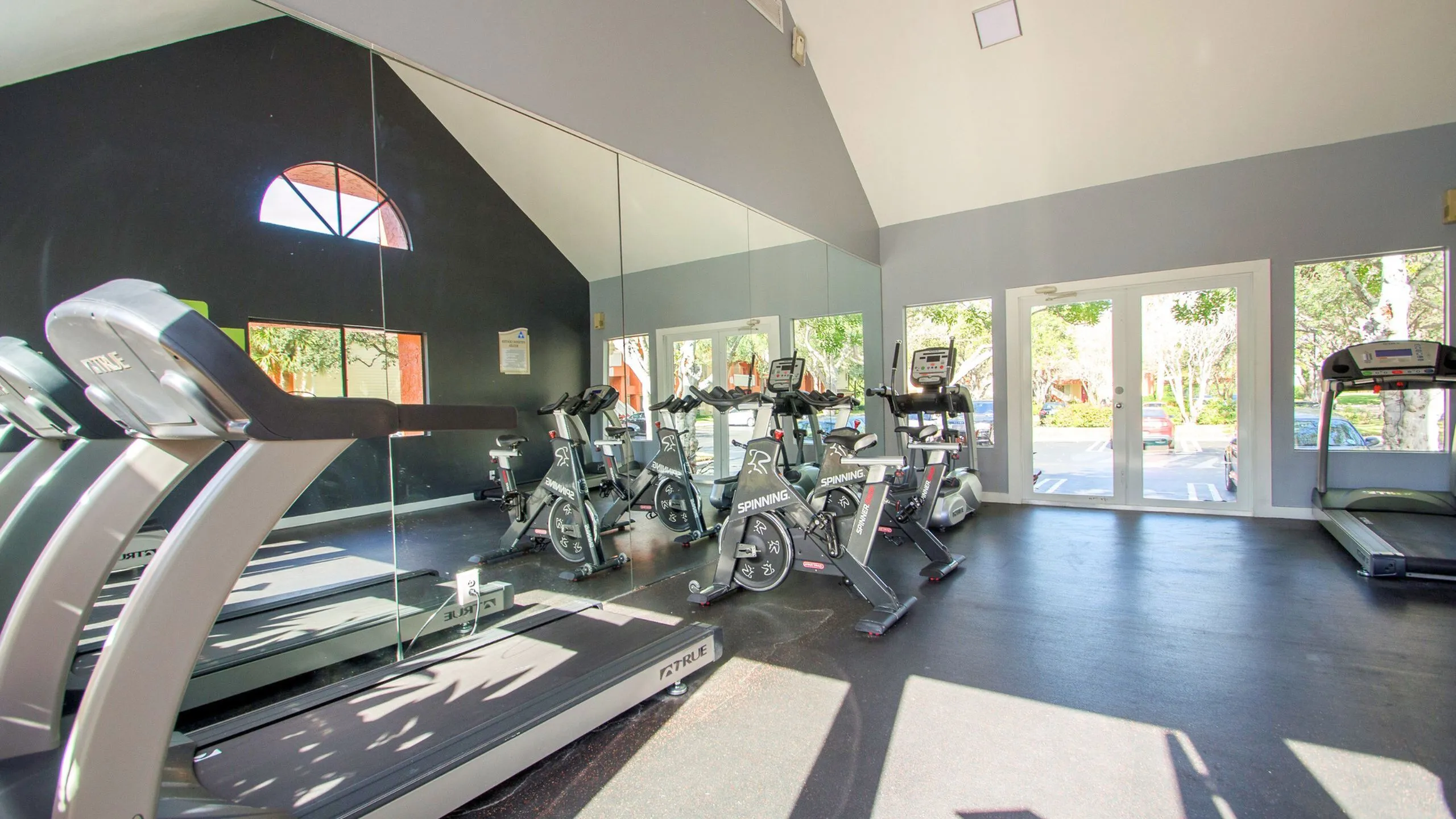 Bright and spacious gym with modern treadmills and spinning bikes, large mirrors, and natural light streaming through wide windows.