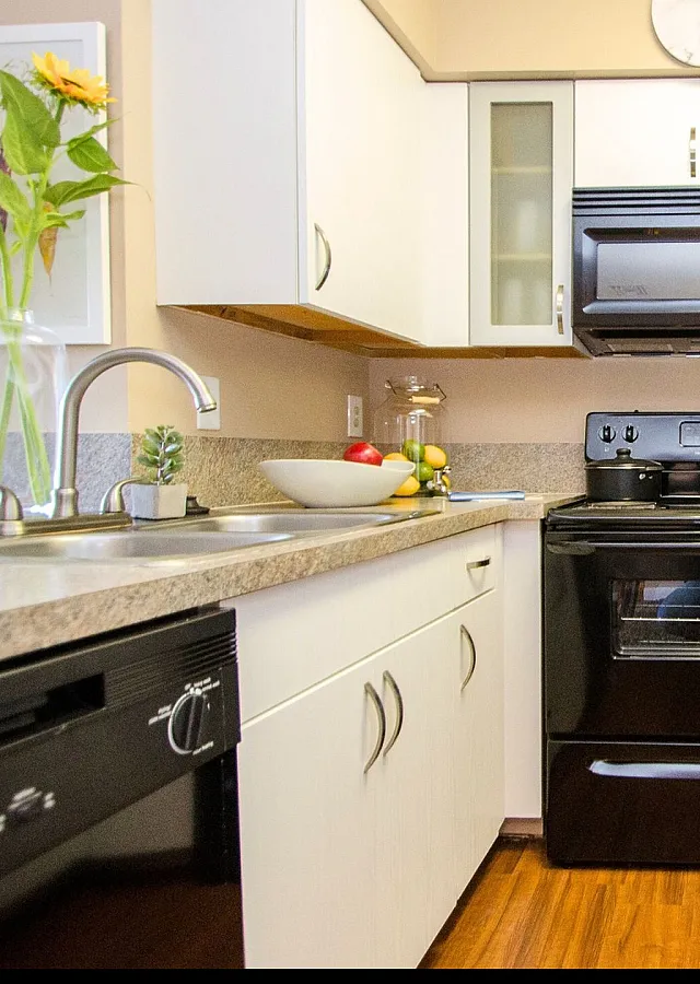 Modern kitchen with sleek black appliances, stylish cabinetry, and vibrant decor for a welcoming atmosphere.