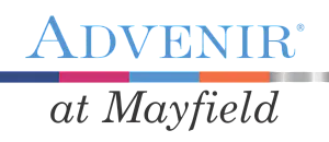 Elegant Advenir at Mayfield logo with a modern color palette design.