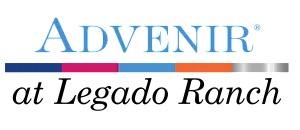 Innovative Advenir logo with vibrant color stripes and elegant typography.