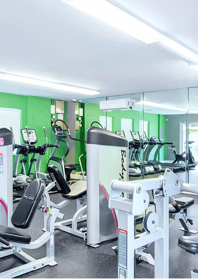 Bright and modern gym equipped with state-of-the-art fitness machines and vibrant green accents, ideal for a healthy lifestyle.