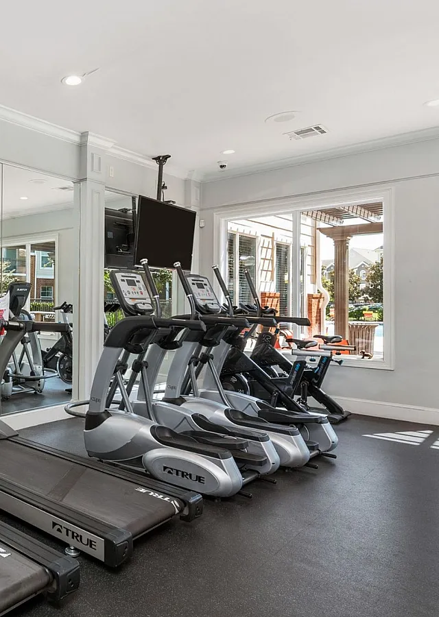 Bright, modern fitness center with multiple high-end treadmills, large mirrors, and pool views through expansive windows.