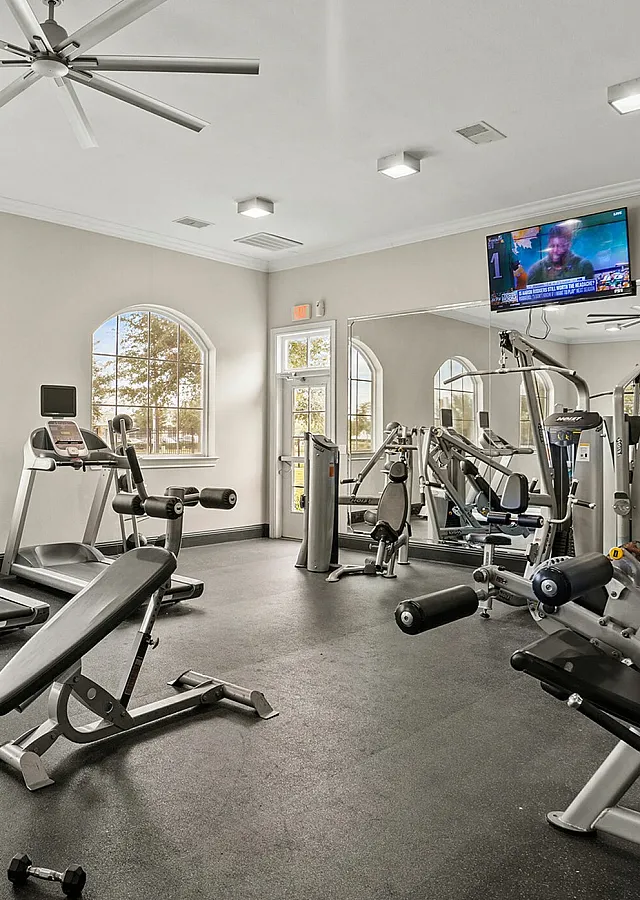 Bright, modern apartment gym equipped with treadmills, weight machines, and large windows showcasing a vibrant exterior view.