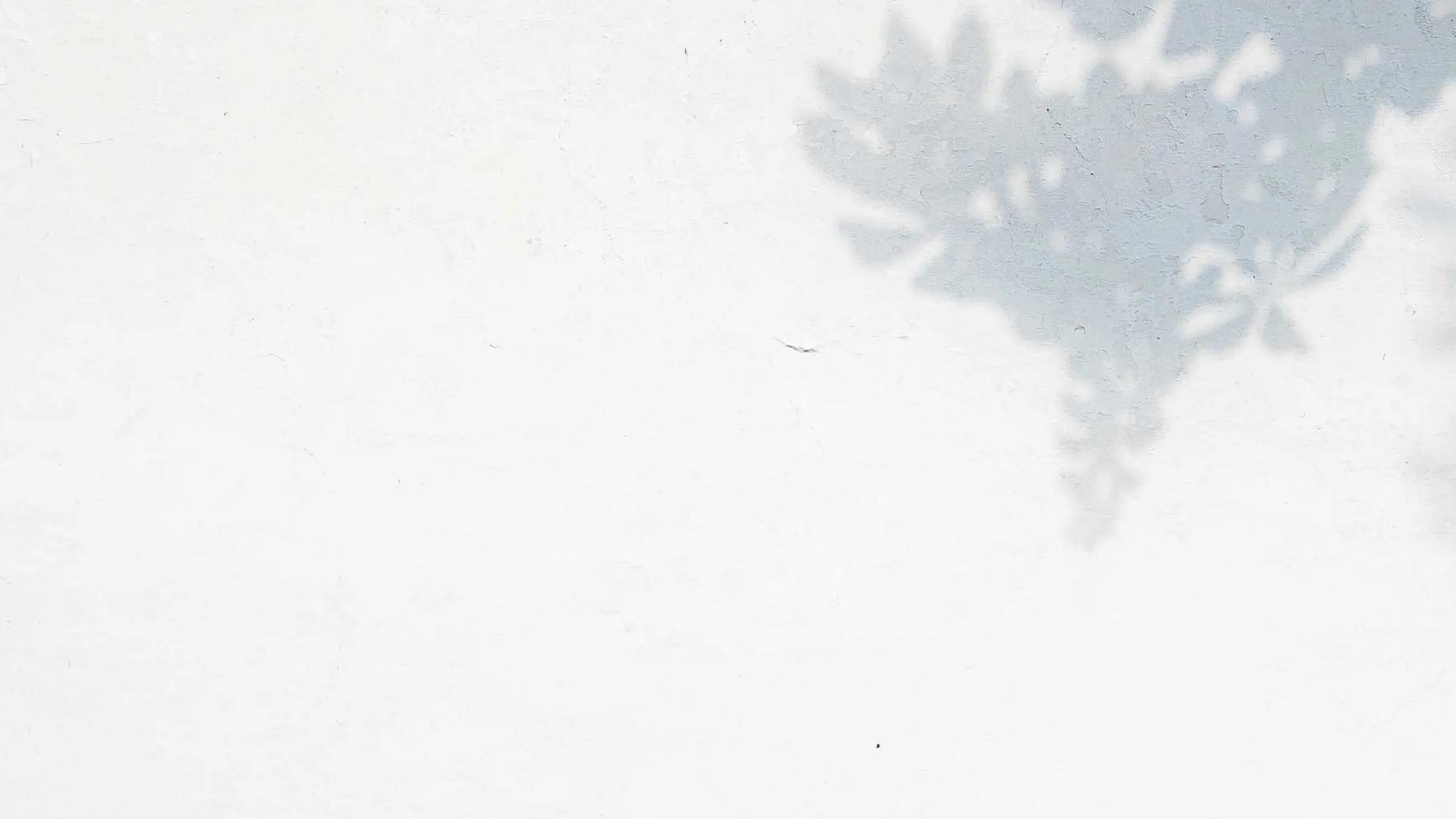 Minimalistic white wall with soft plant shadows, perfect for enhancing room brightness and adding a touch of nature-inspired elegance.