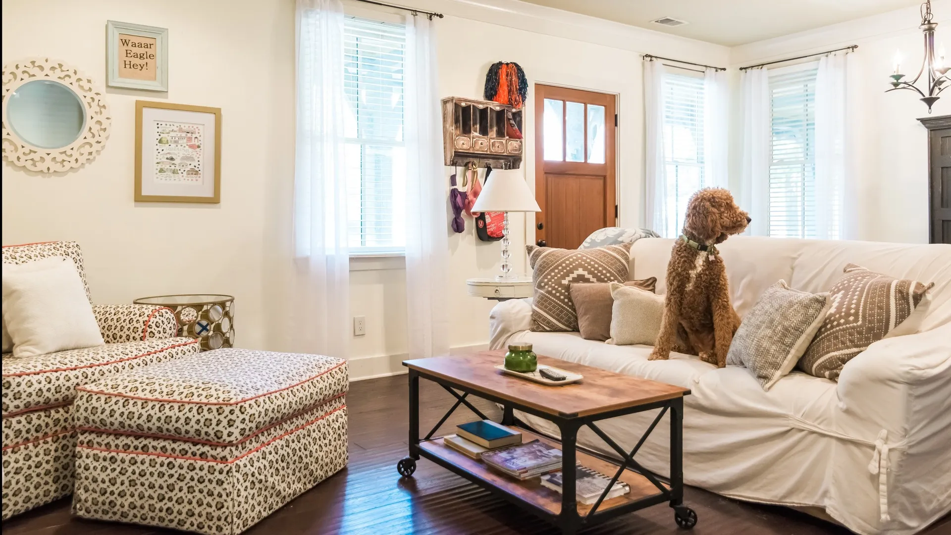 Living room with dog