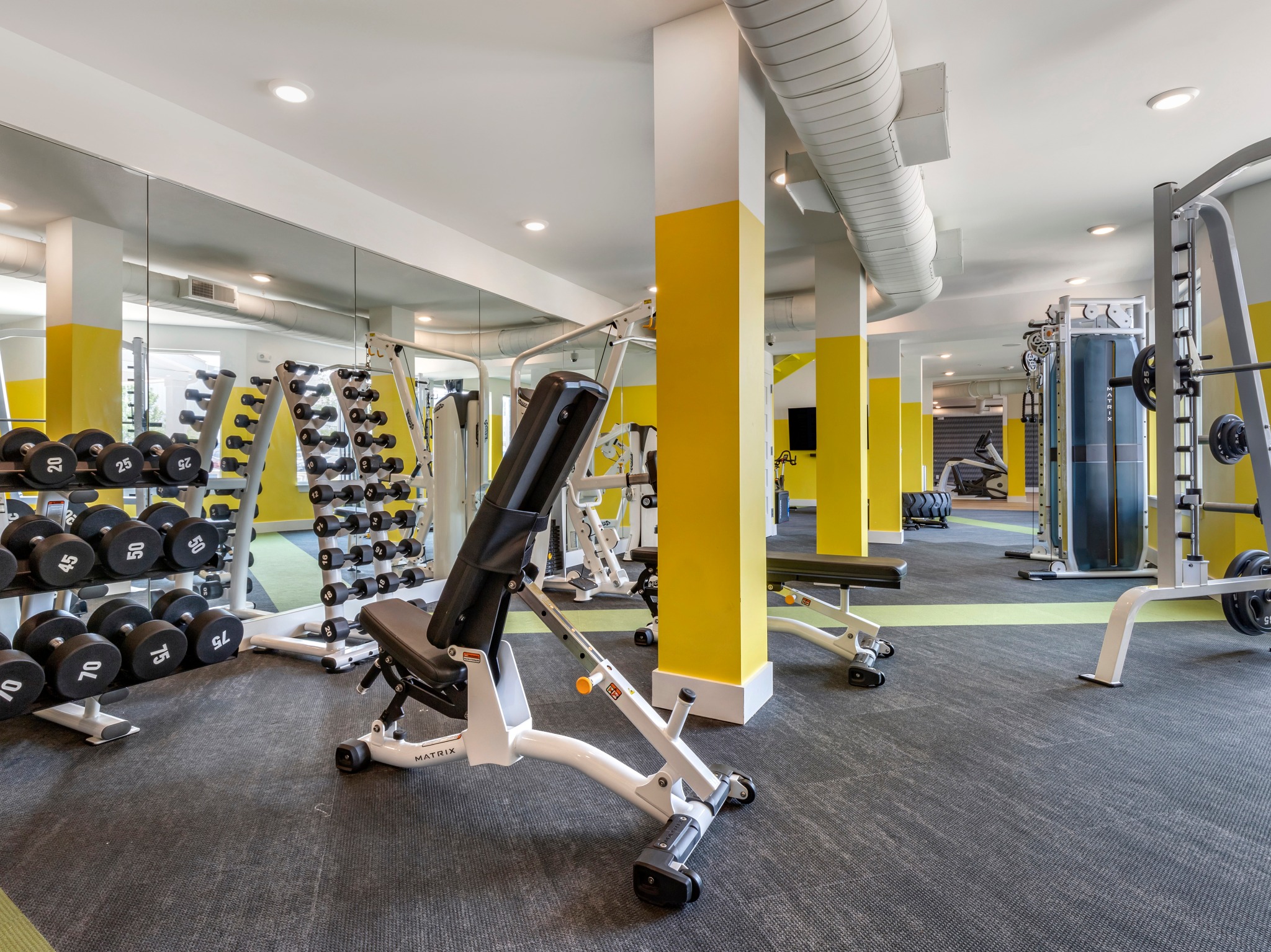 Free Weights in Fitness Center | Paloma Raleigh | Raleigh Off-Campus Apartments Near NCSU